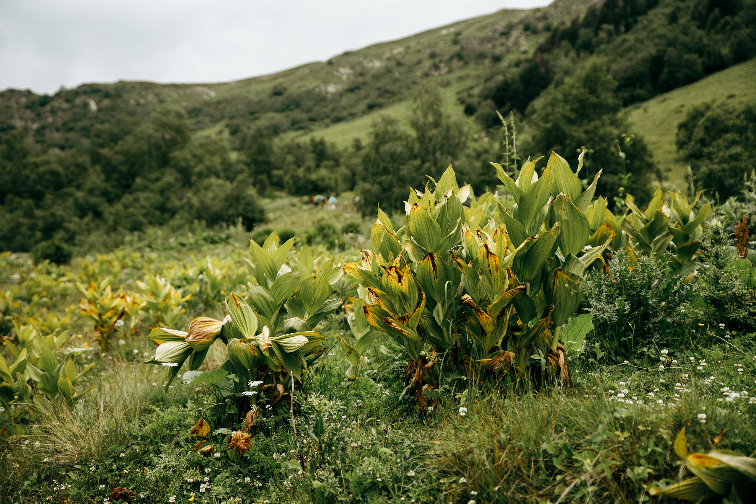Пейзажи. Меня зовут Стас Барыкин, я фотограф. Живу и работаю в Ростове-на-Дону