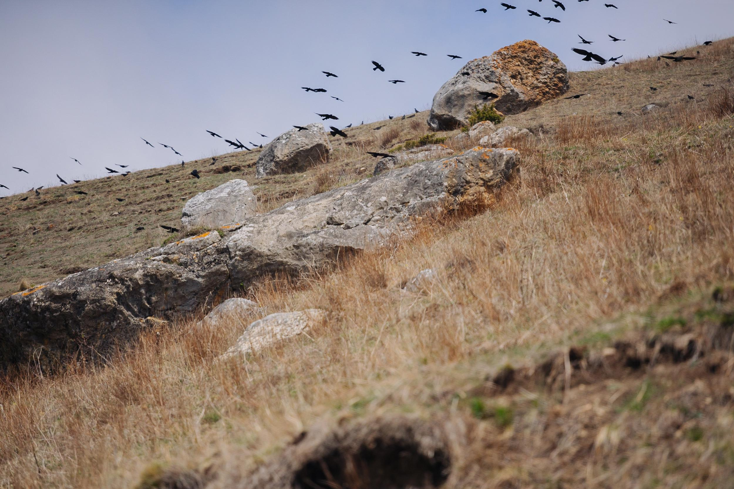 Пейзажи. Меня зовут Стас Барыкин, я фотограф. Живу и работаю в Ростове-на-Дону