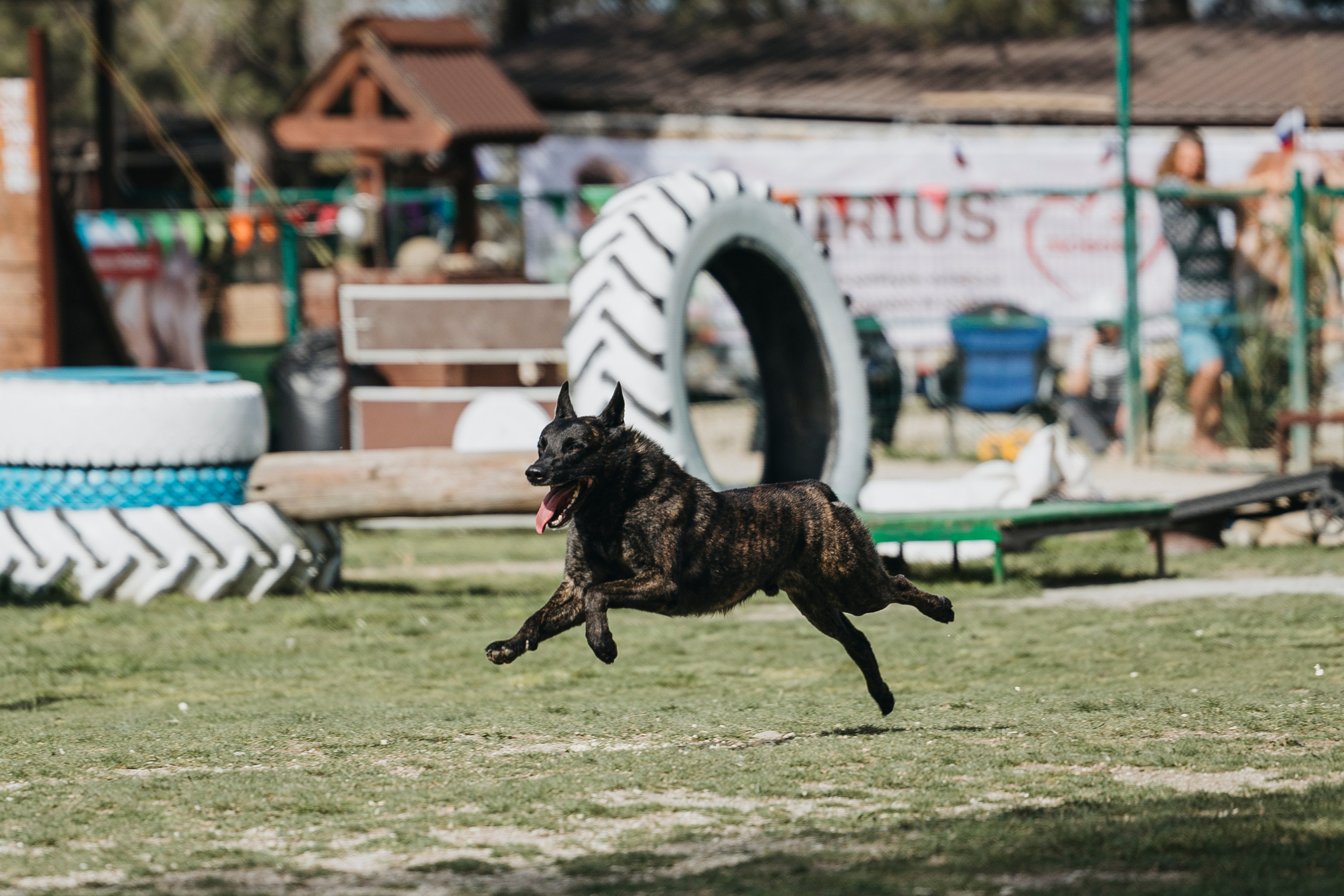Геленджик Мондьоринг. Фотограф-анималист Анна Маринич