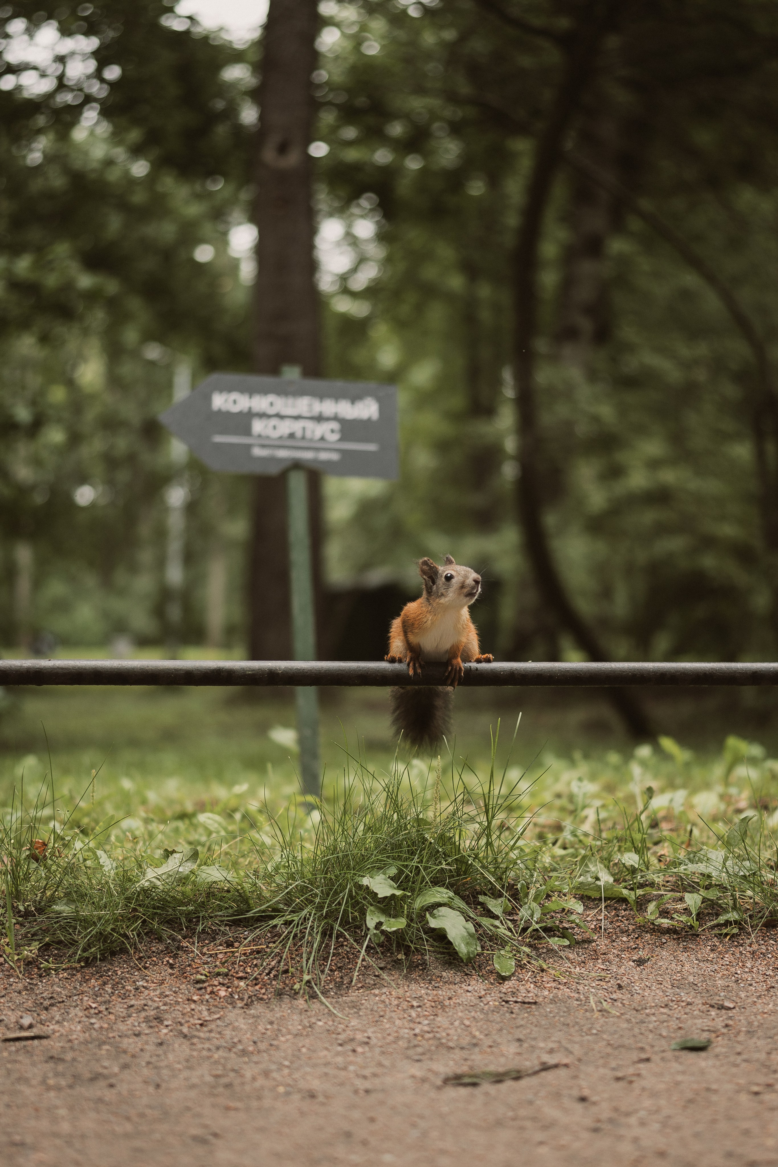 Станислав и Полина. Фотограф Даниил Кокарев | Москва