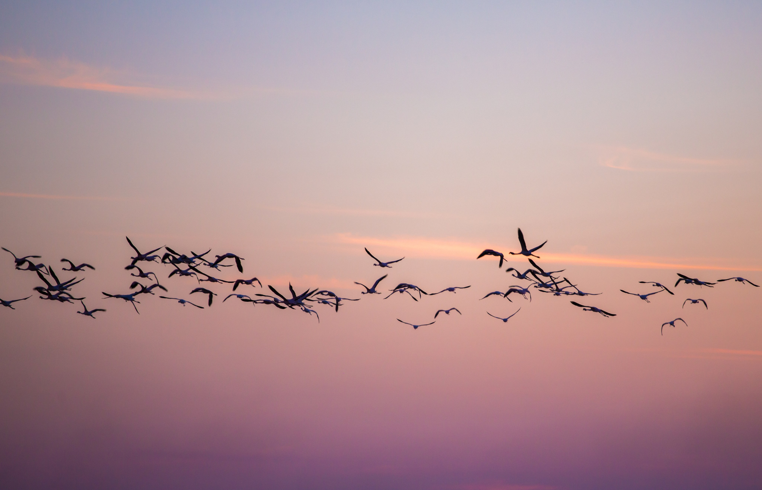 Намибия. Добродеева Алла фотограф, Москва