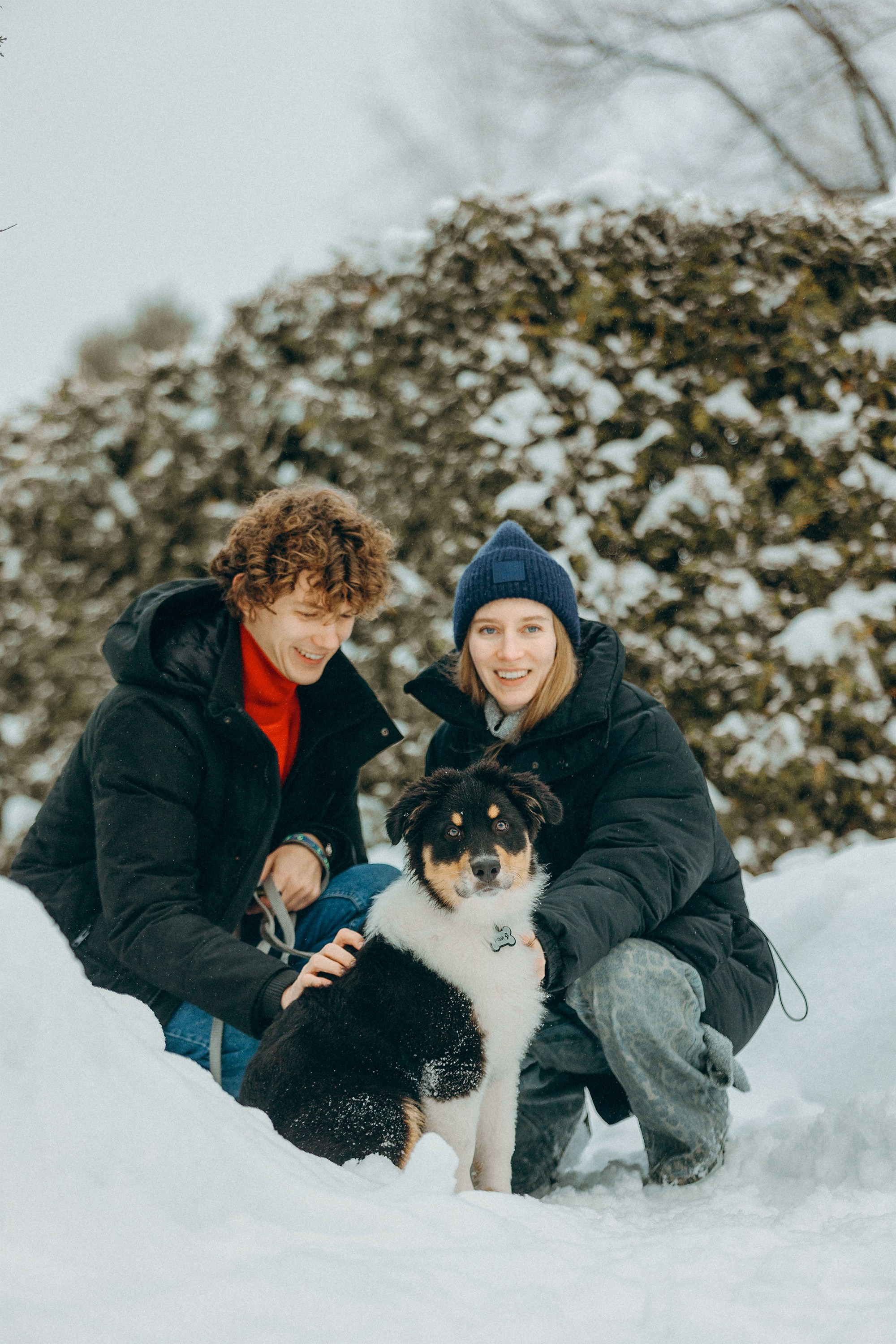 Рей со своей семьей. Фотограф. Фотограф-анималист. Москва