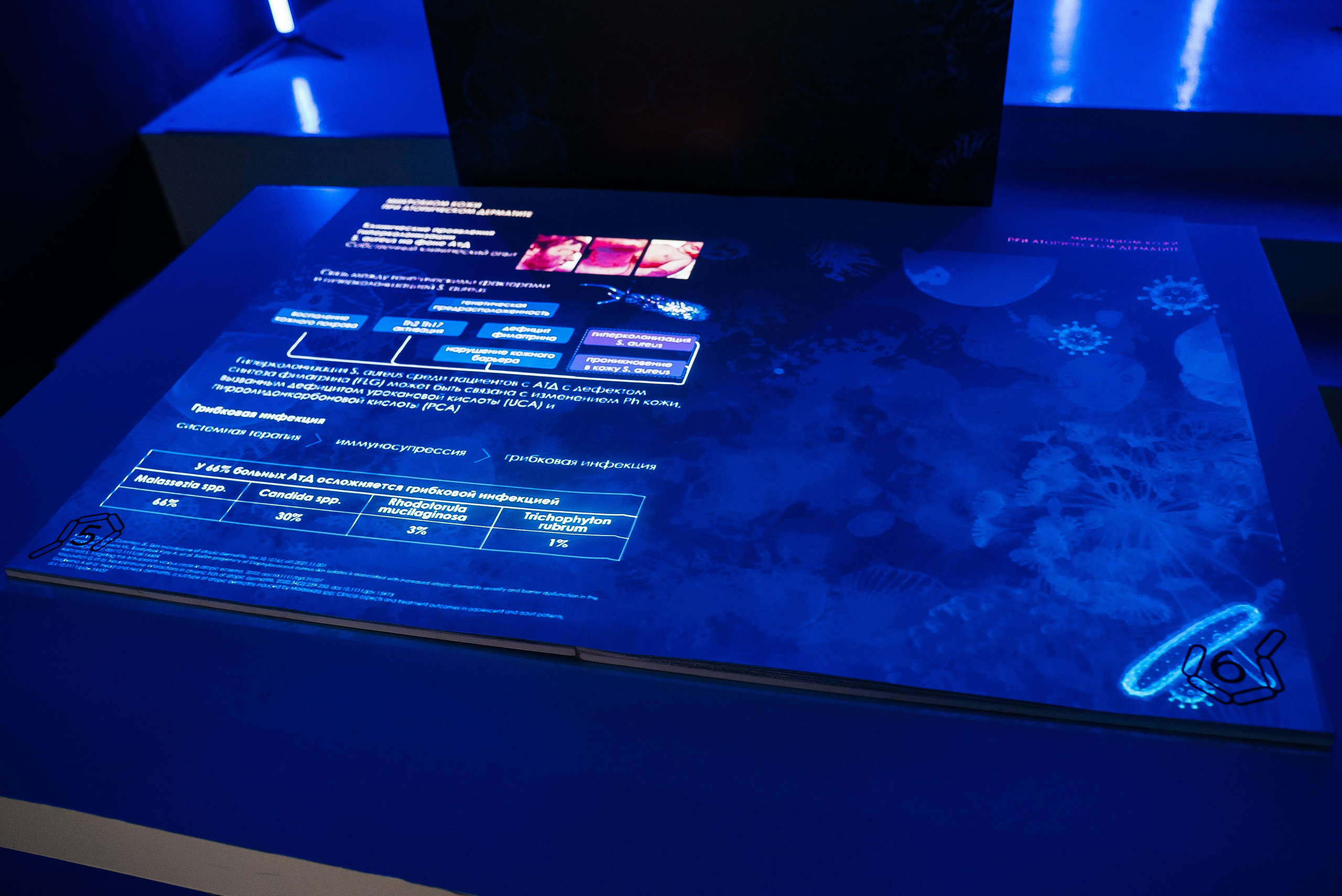 La Roche Posay. Павел Краснов — Свадебный и репортажный фотограф в Москве