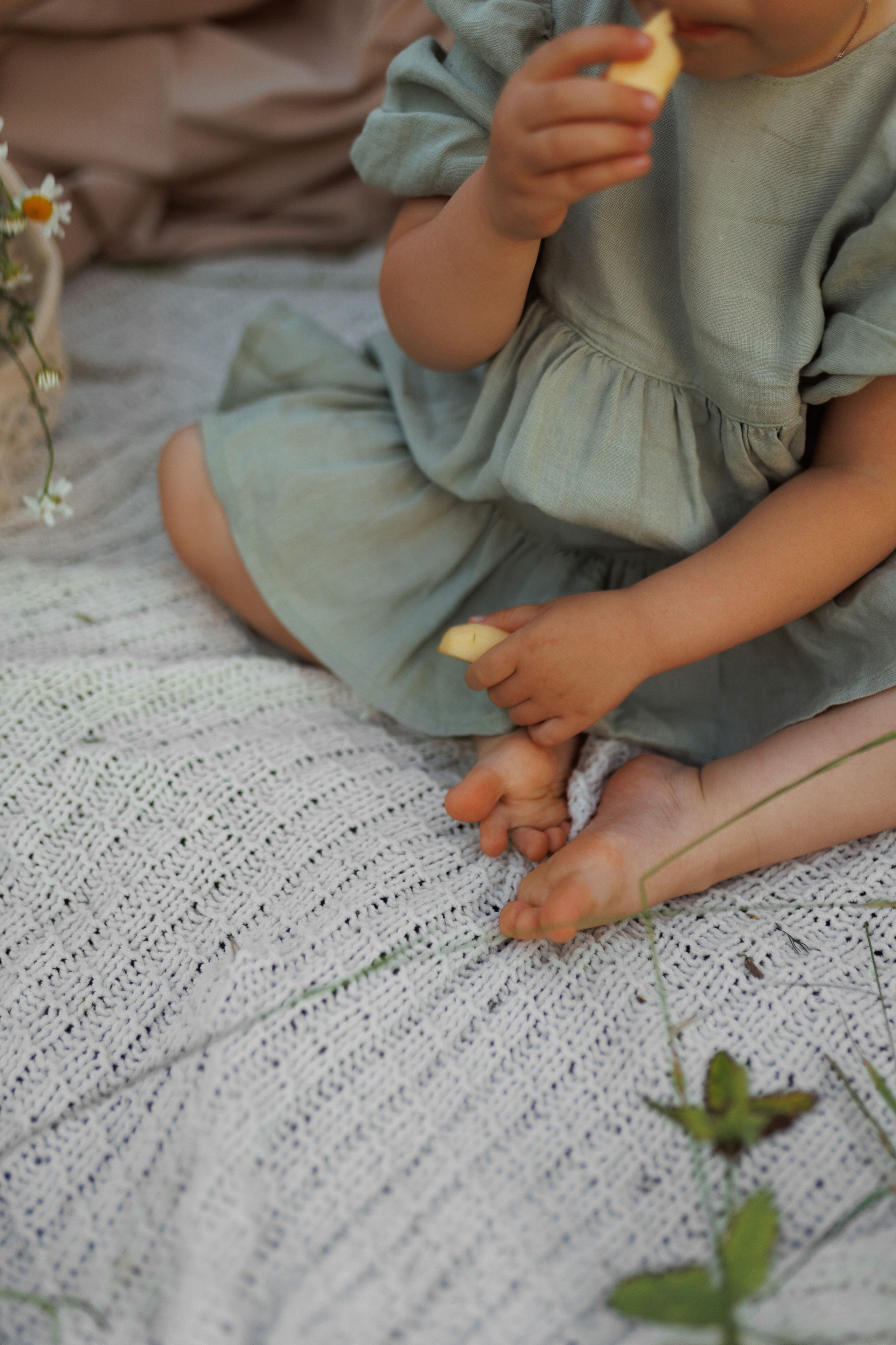 В ромашковом поле. Фотограф в Красногорске и Москве
