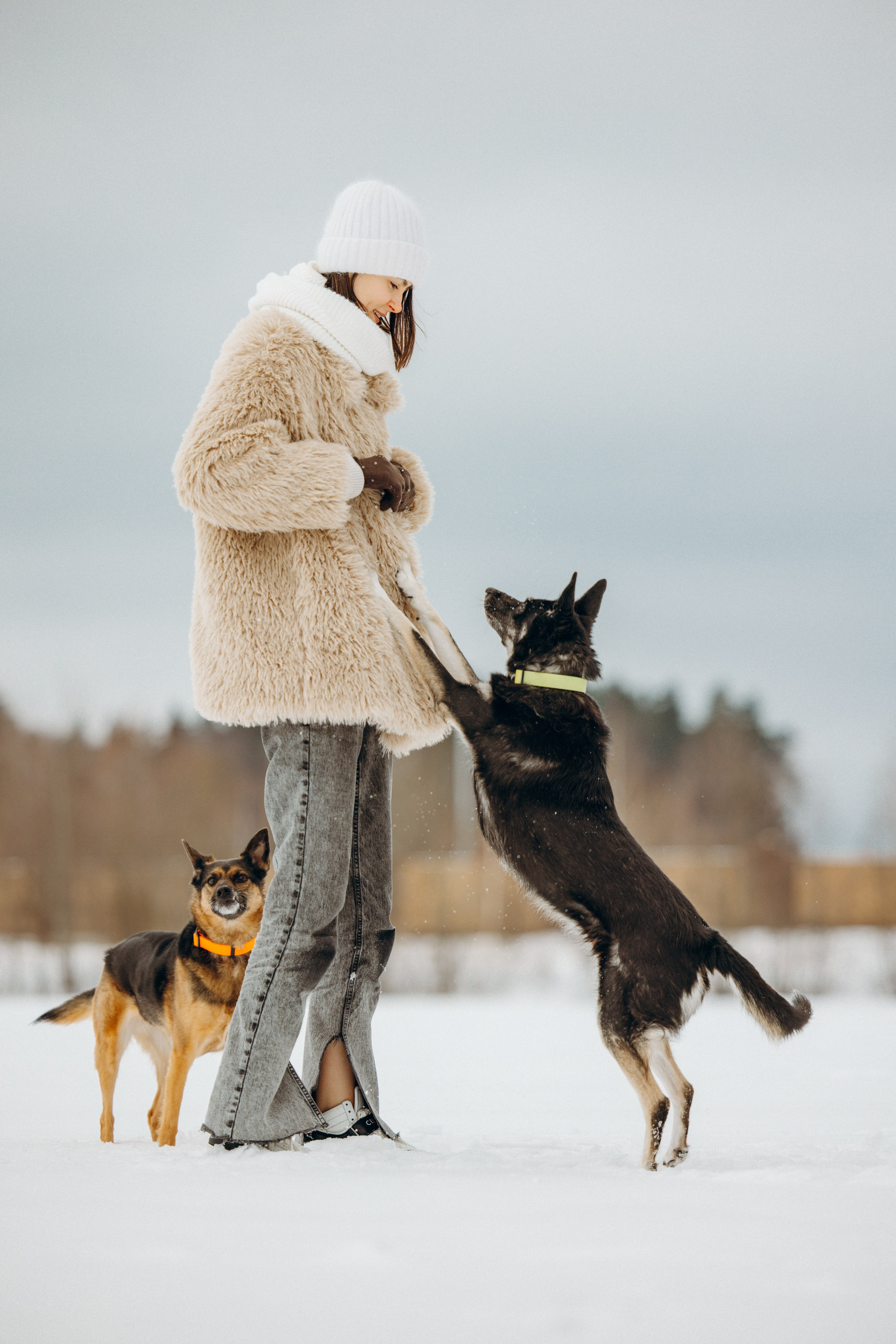 Ника, Матиша и Герда. Фотограф-анималист в Москве Лера Черноног