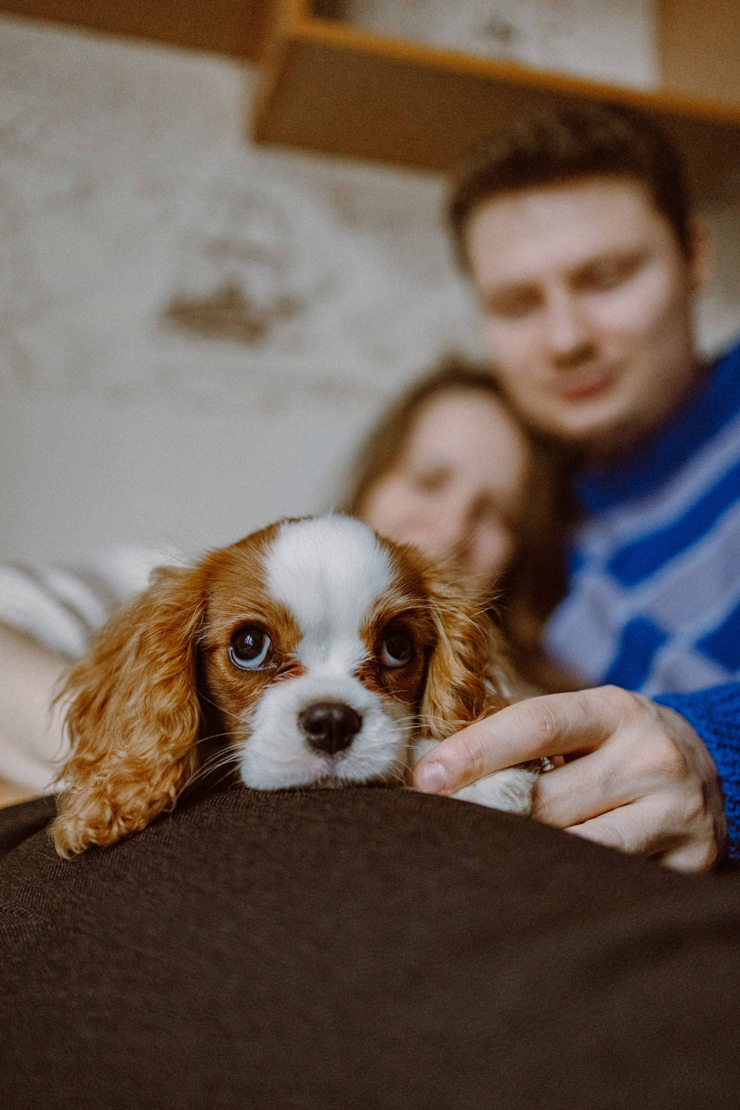 Юля и Кипр. Фотограф-анималист в Москве Лера Черноног