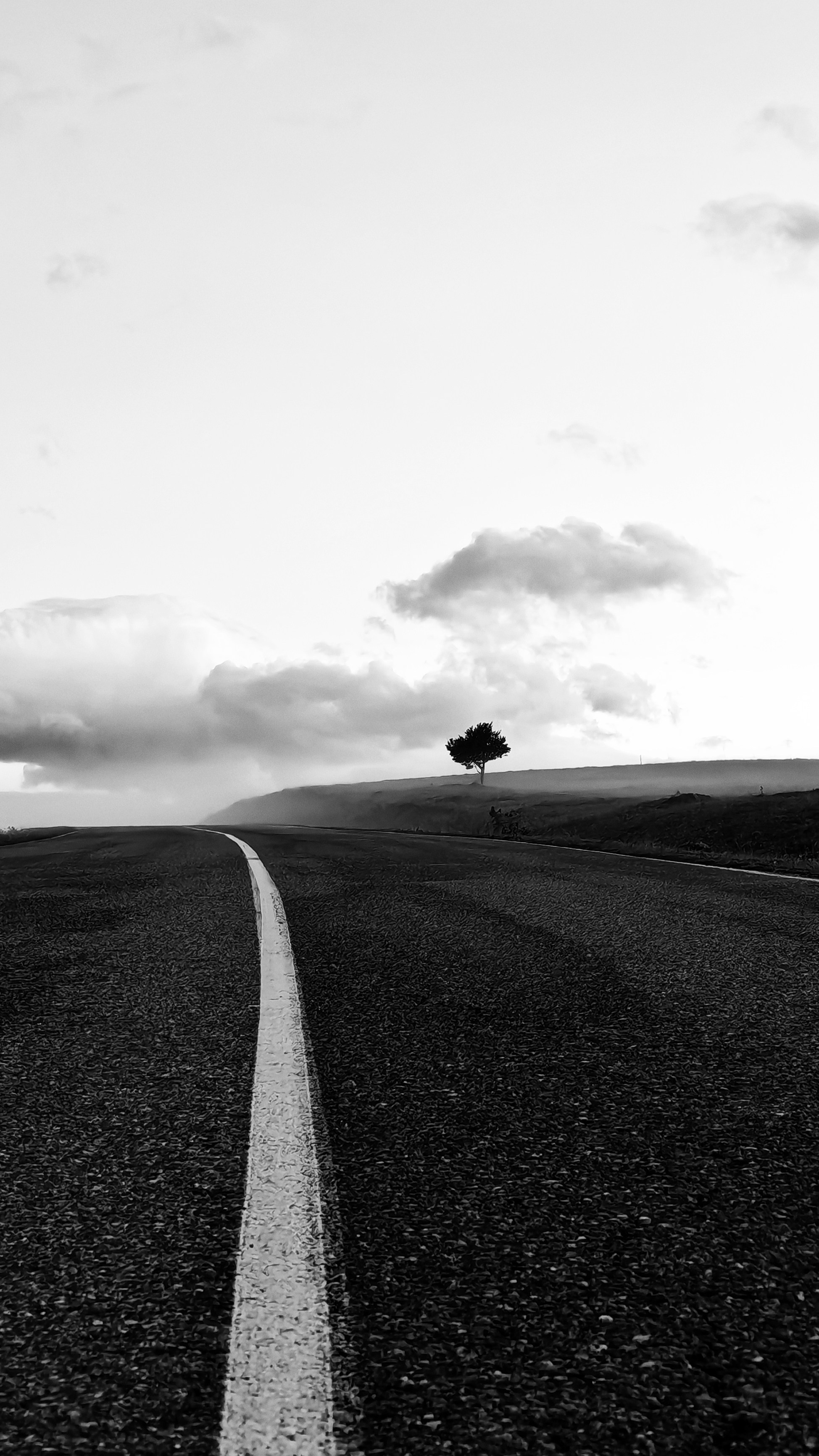 Юлия Стеценко