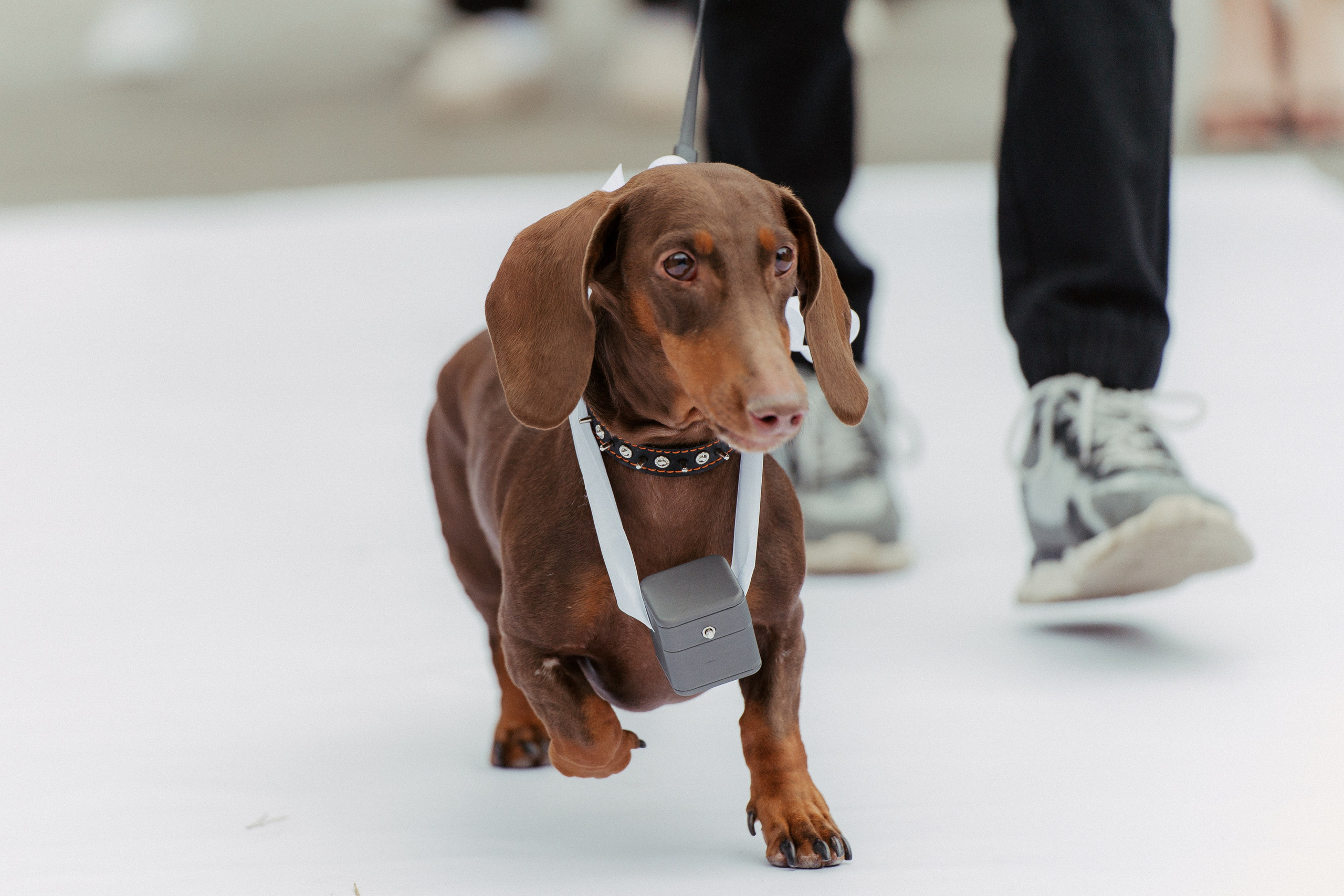 Александр и Оксана. Фотограф Никита Анкудинов. Москва — Чебоксары — Казань