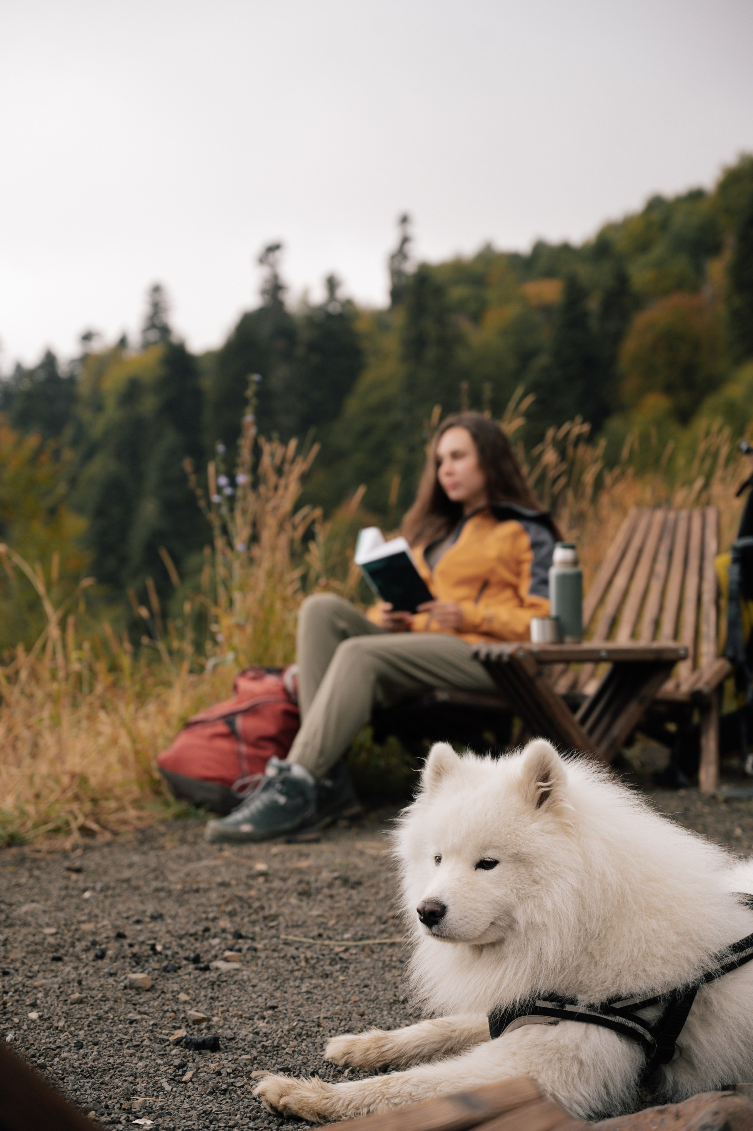 Выше гор только любовь. Свадебный и семейный фотограф Вероника Холод