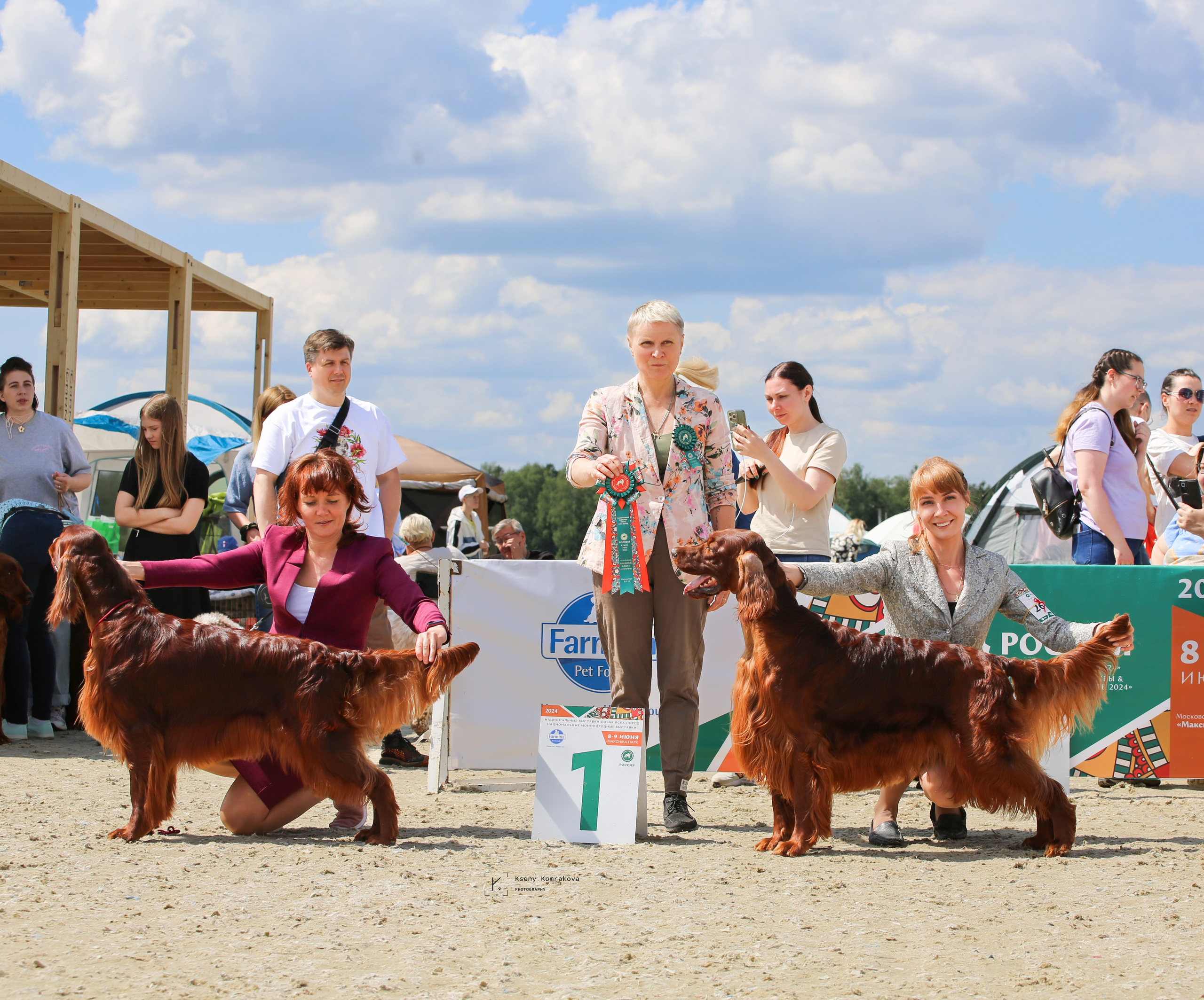 Съемка собак. Анималистика. Репортаж. Индивидуальная съемка