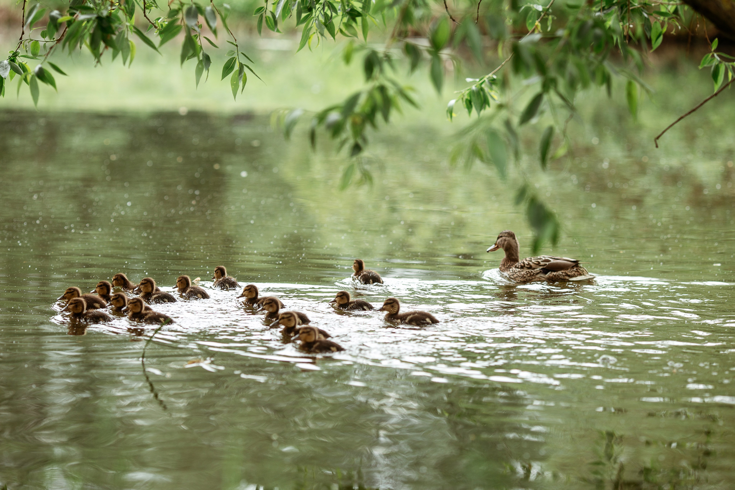 Брось слова. Александра Мелех. Жанна Бакунович, ваш профессиональный фотограф в Минске