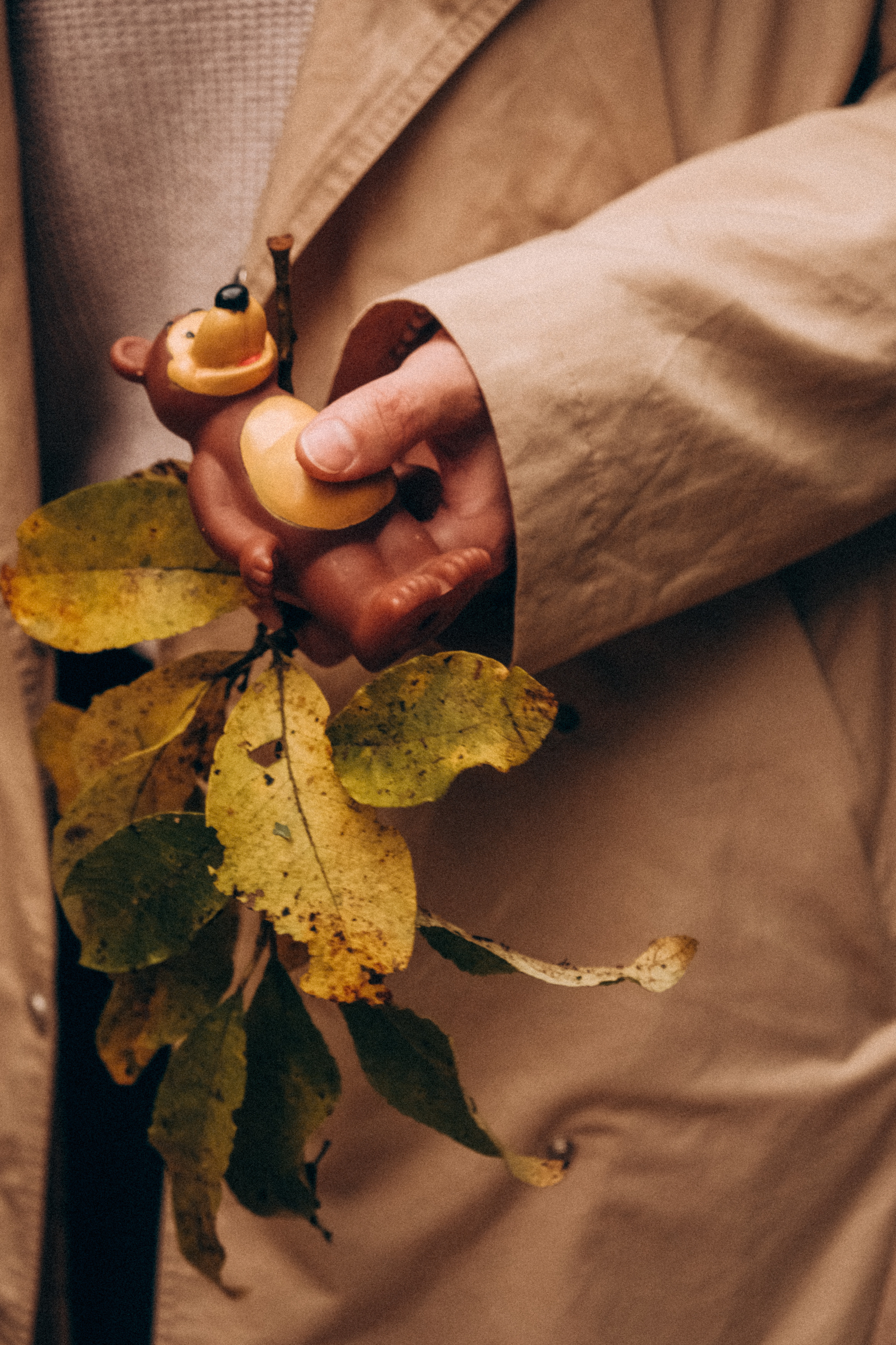 Между дождей. Самойленко Надежда фотограф