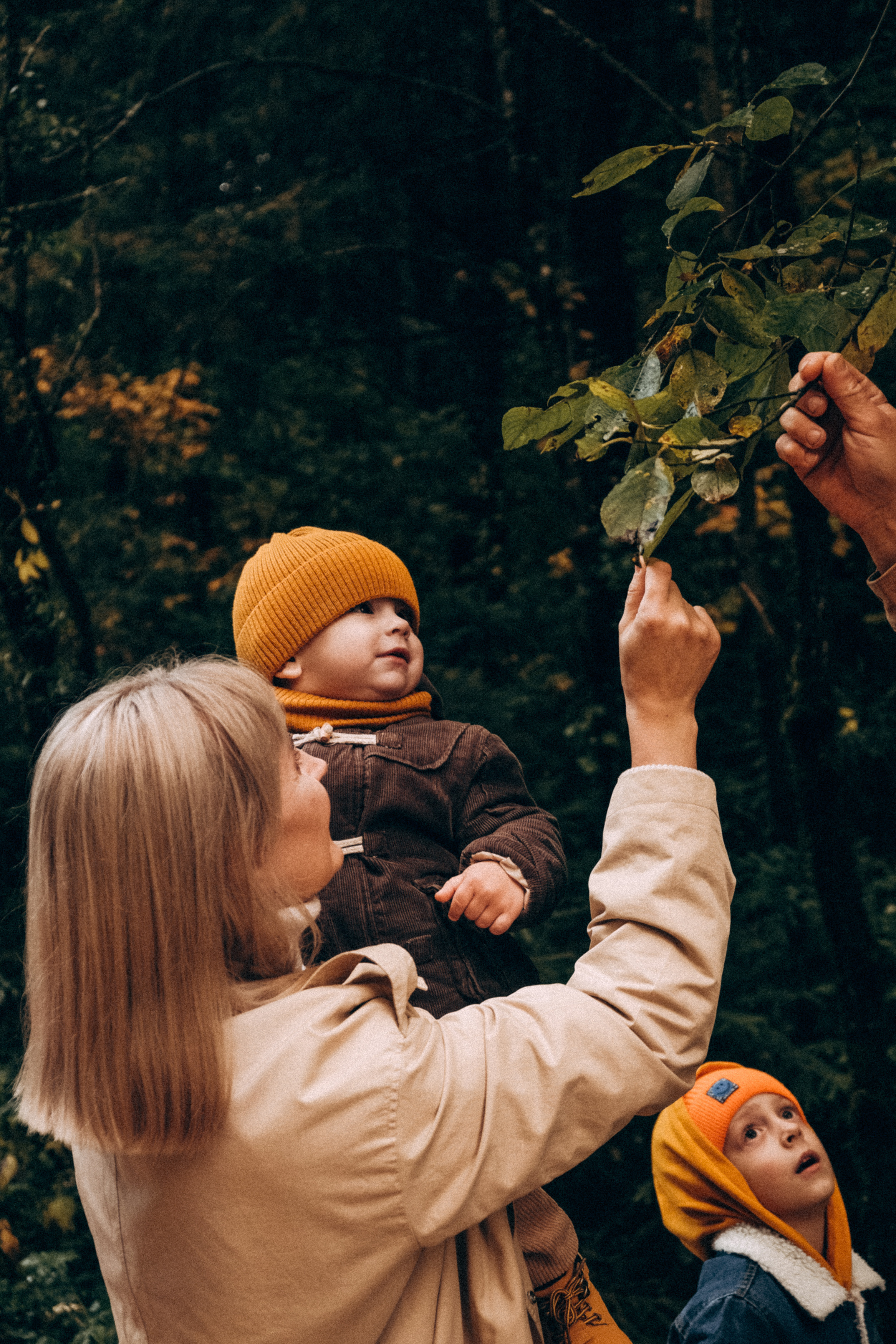 Между дождей. Самойленко Надежда фотограф