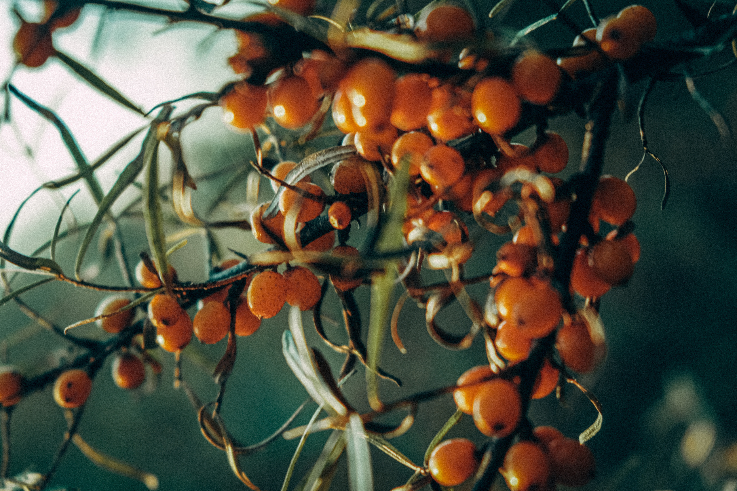 А вы были в местных горах. Самойленко Надежда фотограф