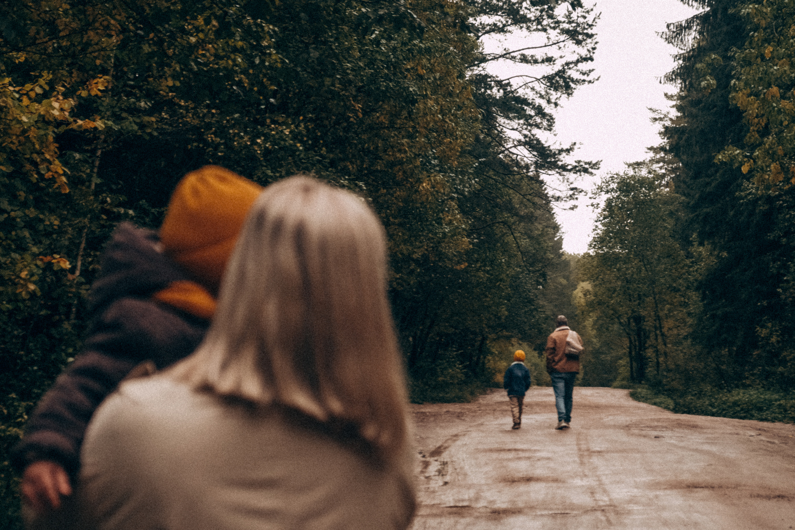 Между дождей. Самойленко Надежда фотограф