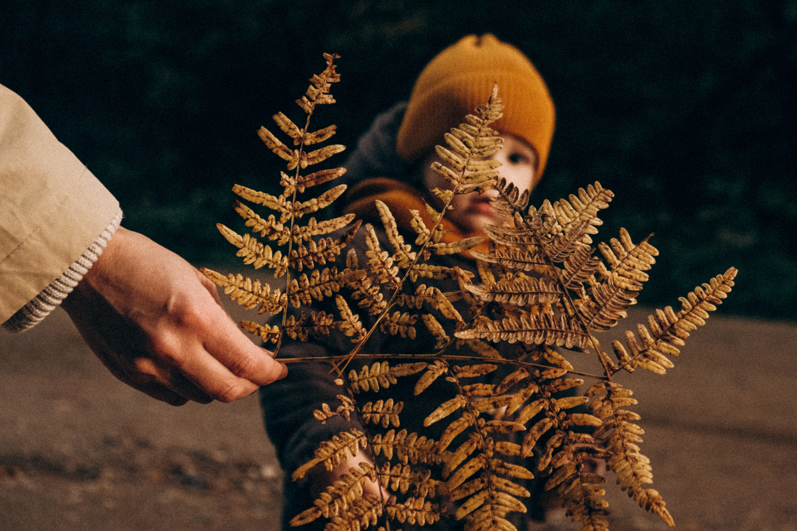 Между дождей. Самойленко Надежда фотограф