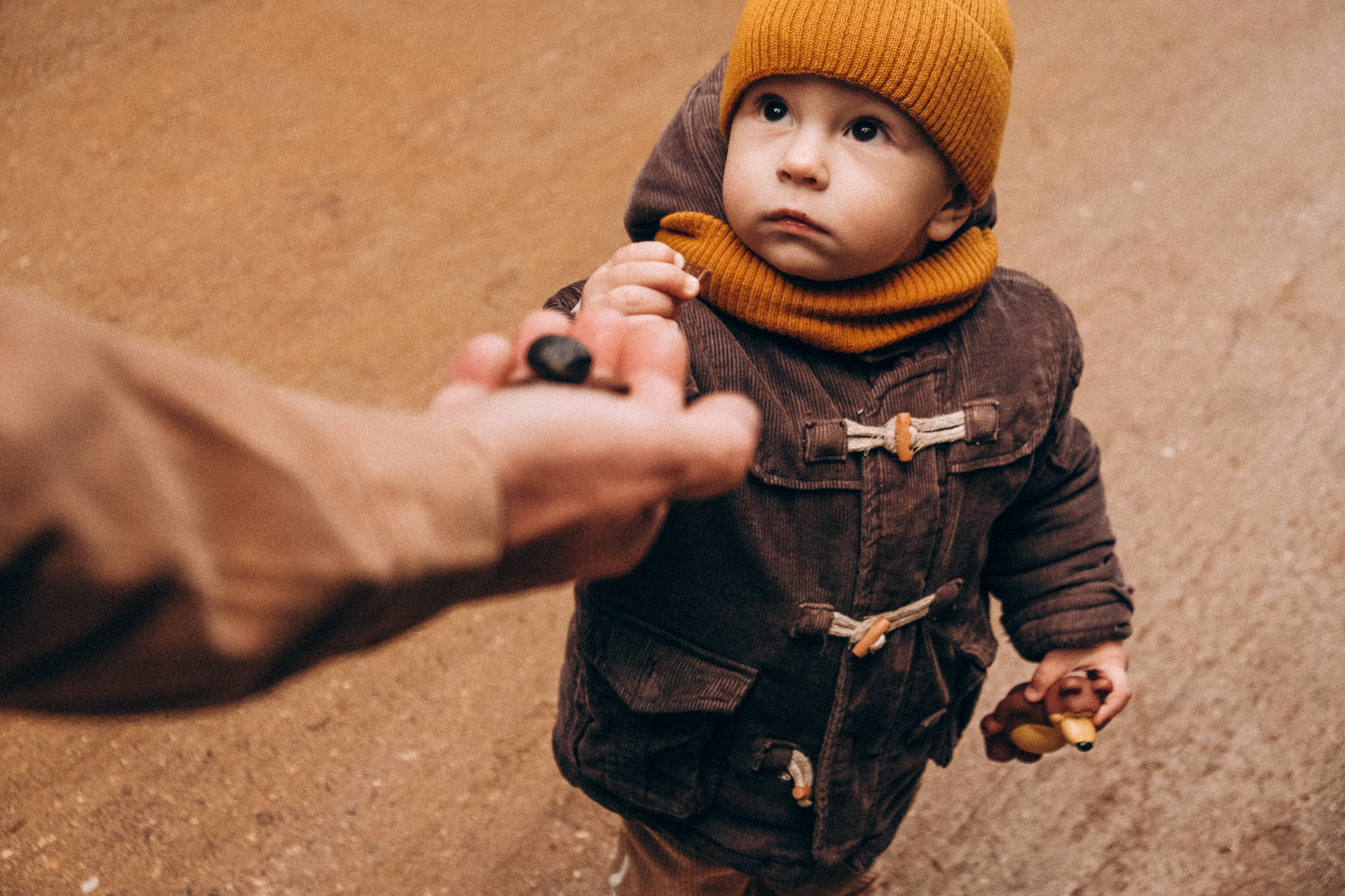 Между дождей. Самойленко Надежда фотограф
