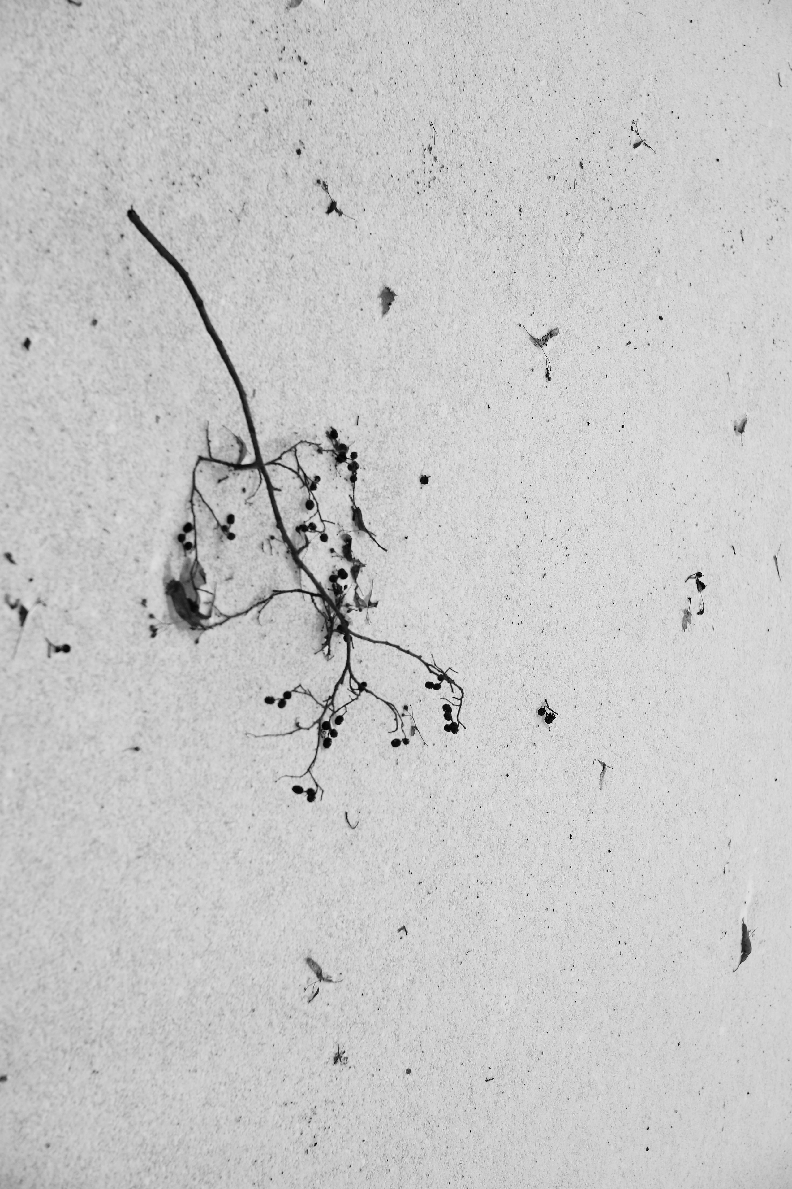 /все что вокруг. Kristina Rashkovskaya