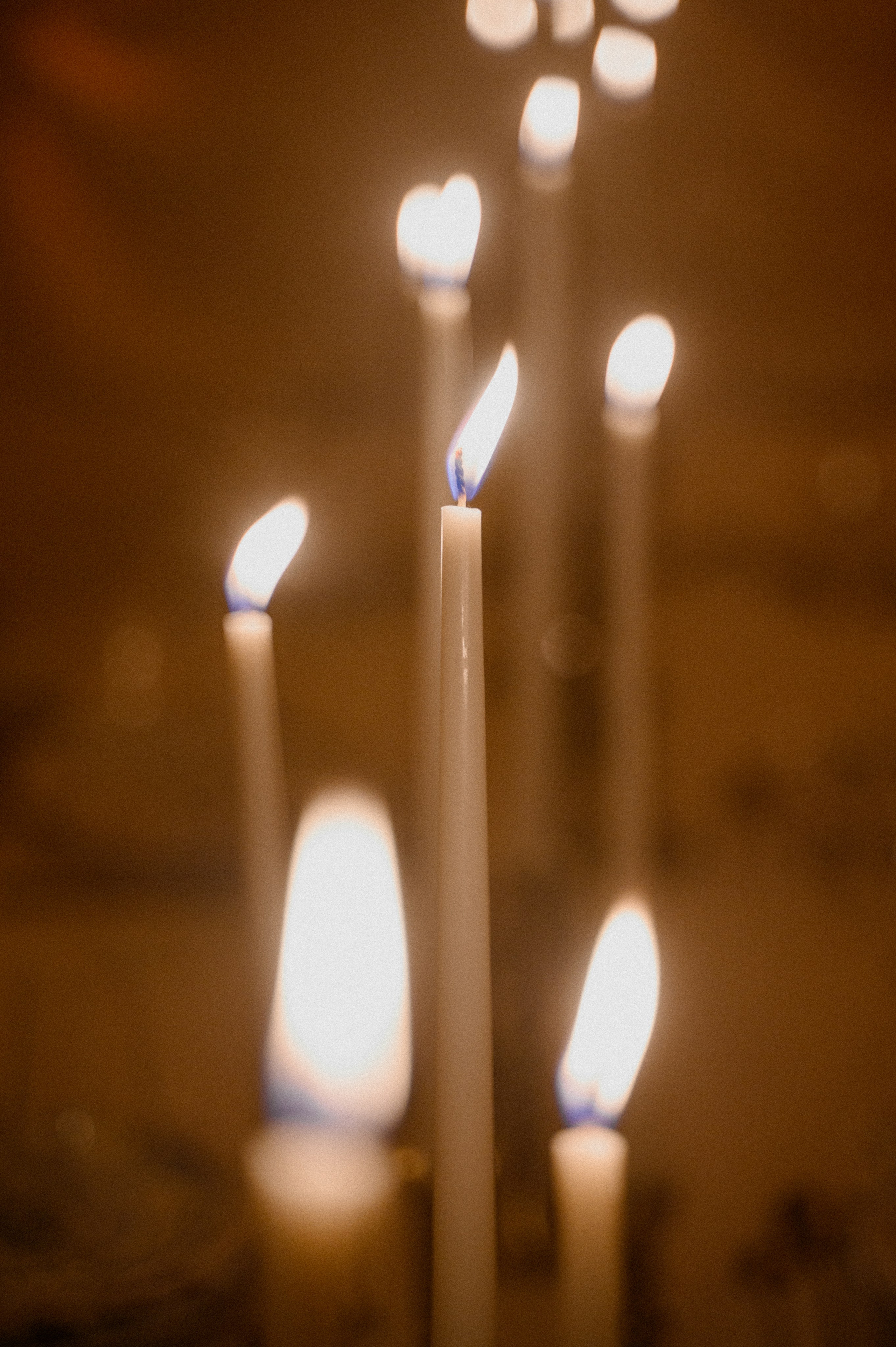 Свадебный фотограф Минск. Свадебный фотограф Минск