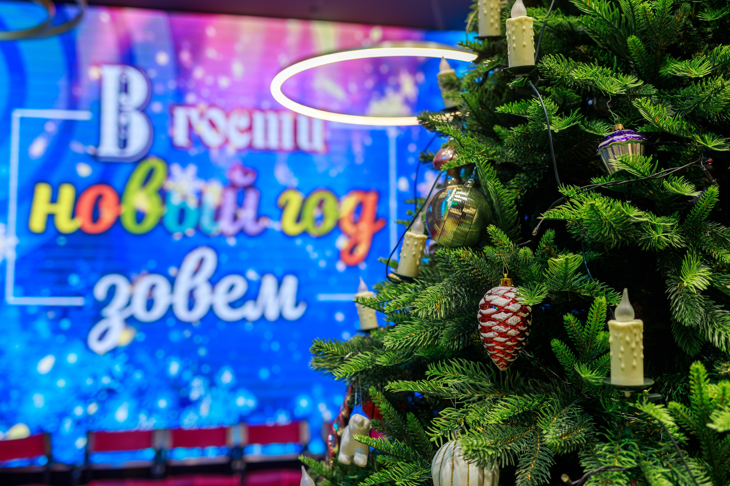 Частный дет сад. Семейный и детский фотограф в Краснодаре Ирина Лаврецкая