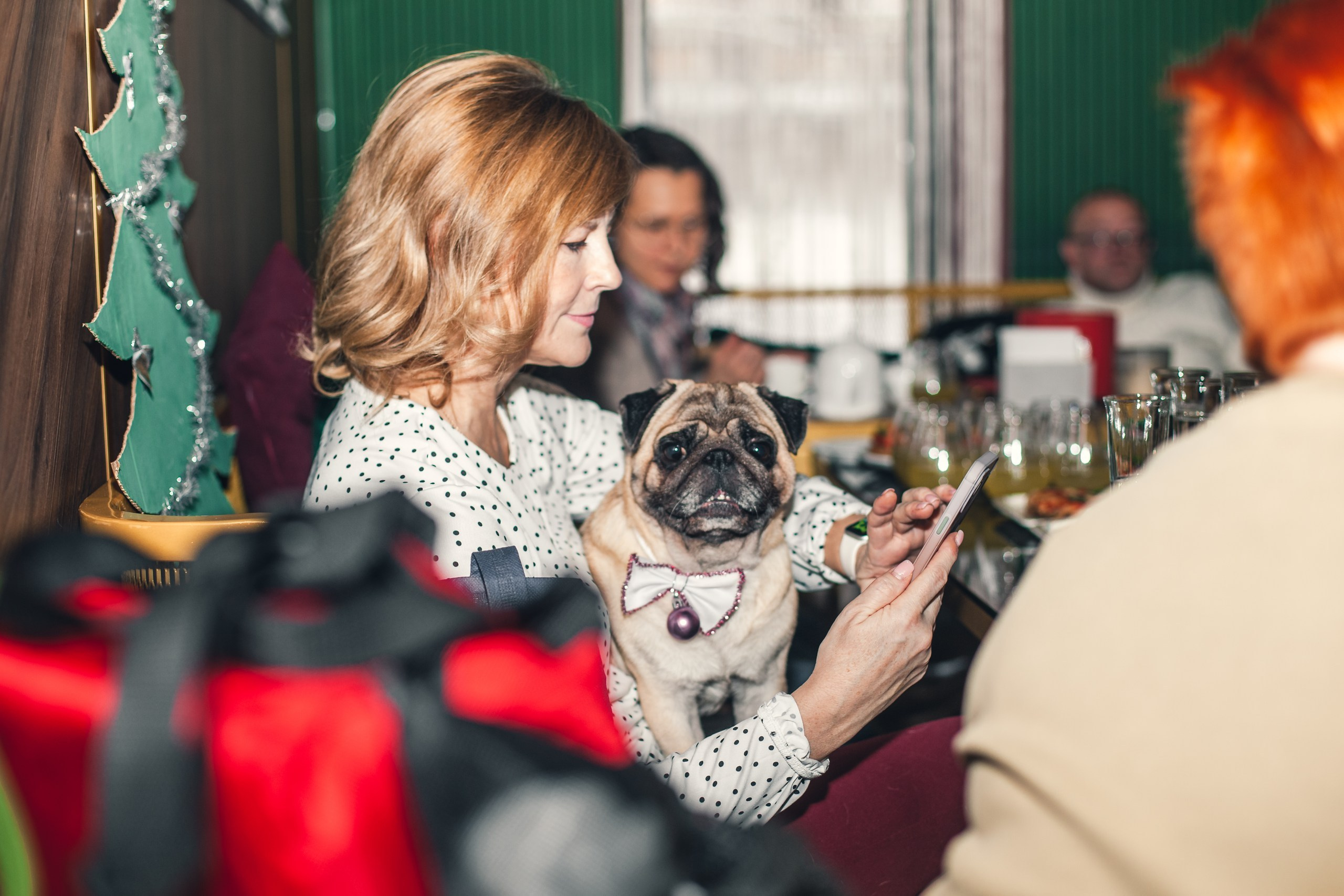 Мопсовстреча 02.12.2023. Фотограф-анималист Татьяна Степанова