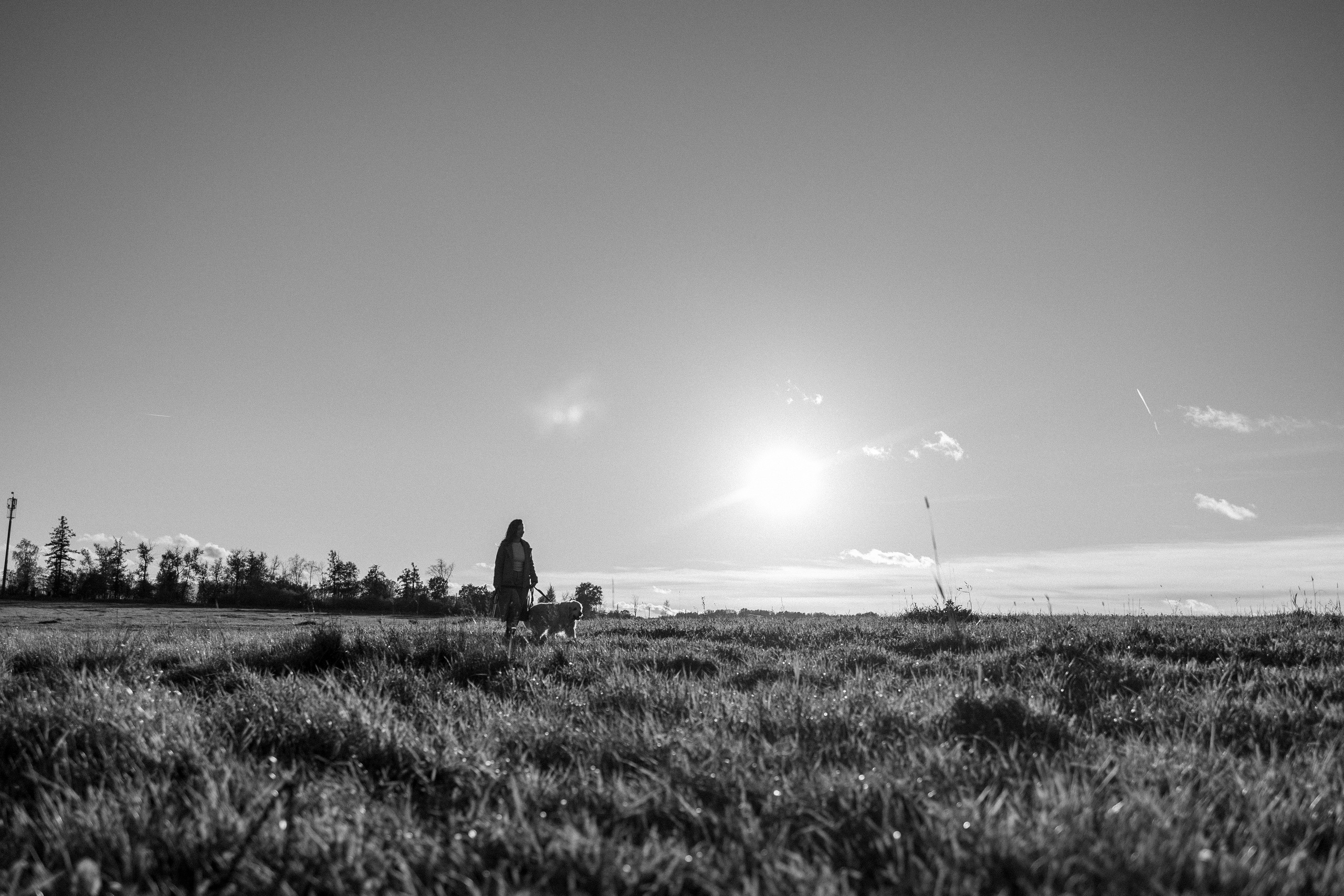 Лера и Скай. Фотограф — Анималист | Санкт-Петербург