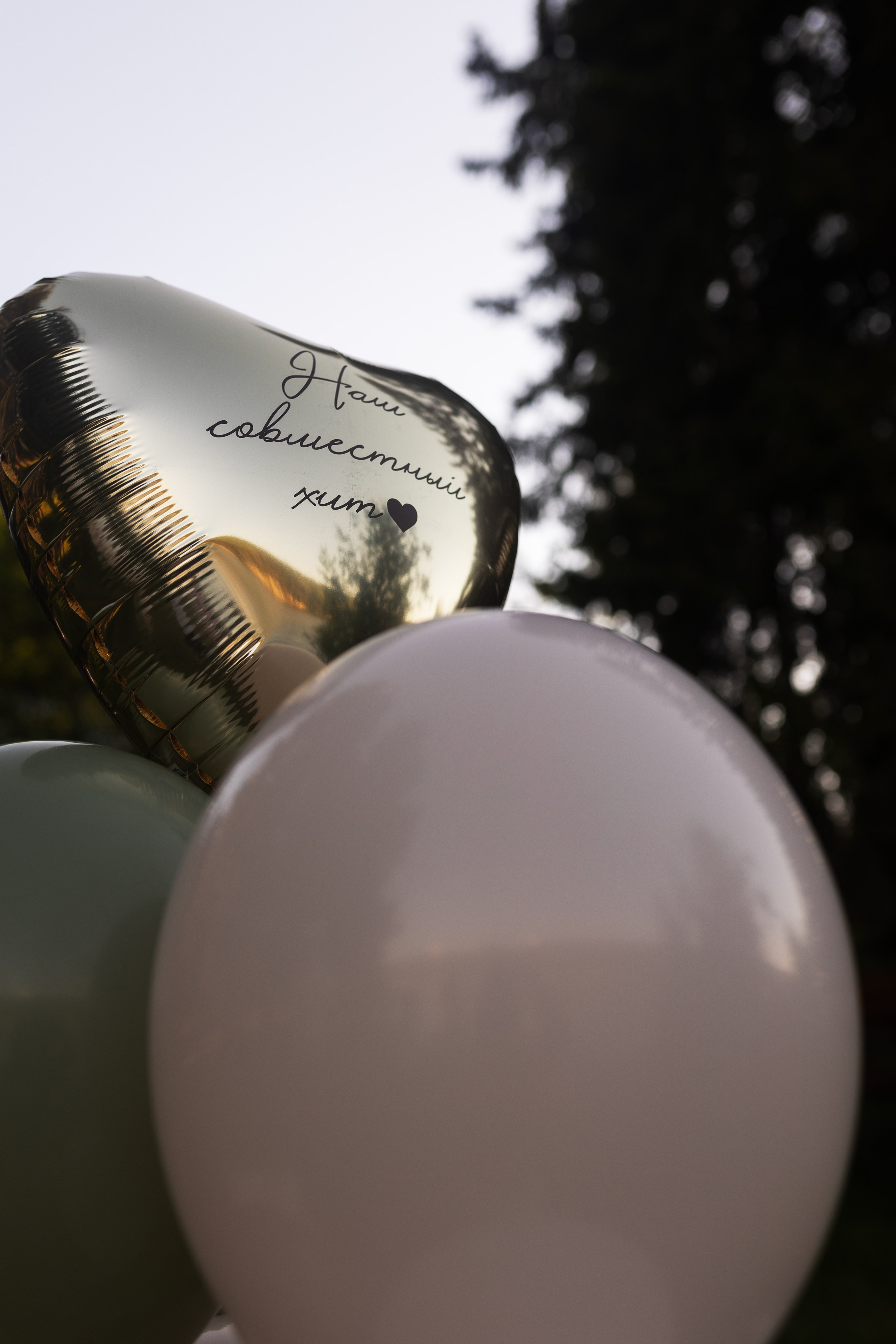 Согдиана и Алексей. Фотограф Алина Кучумова