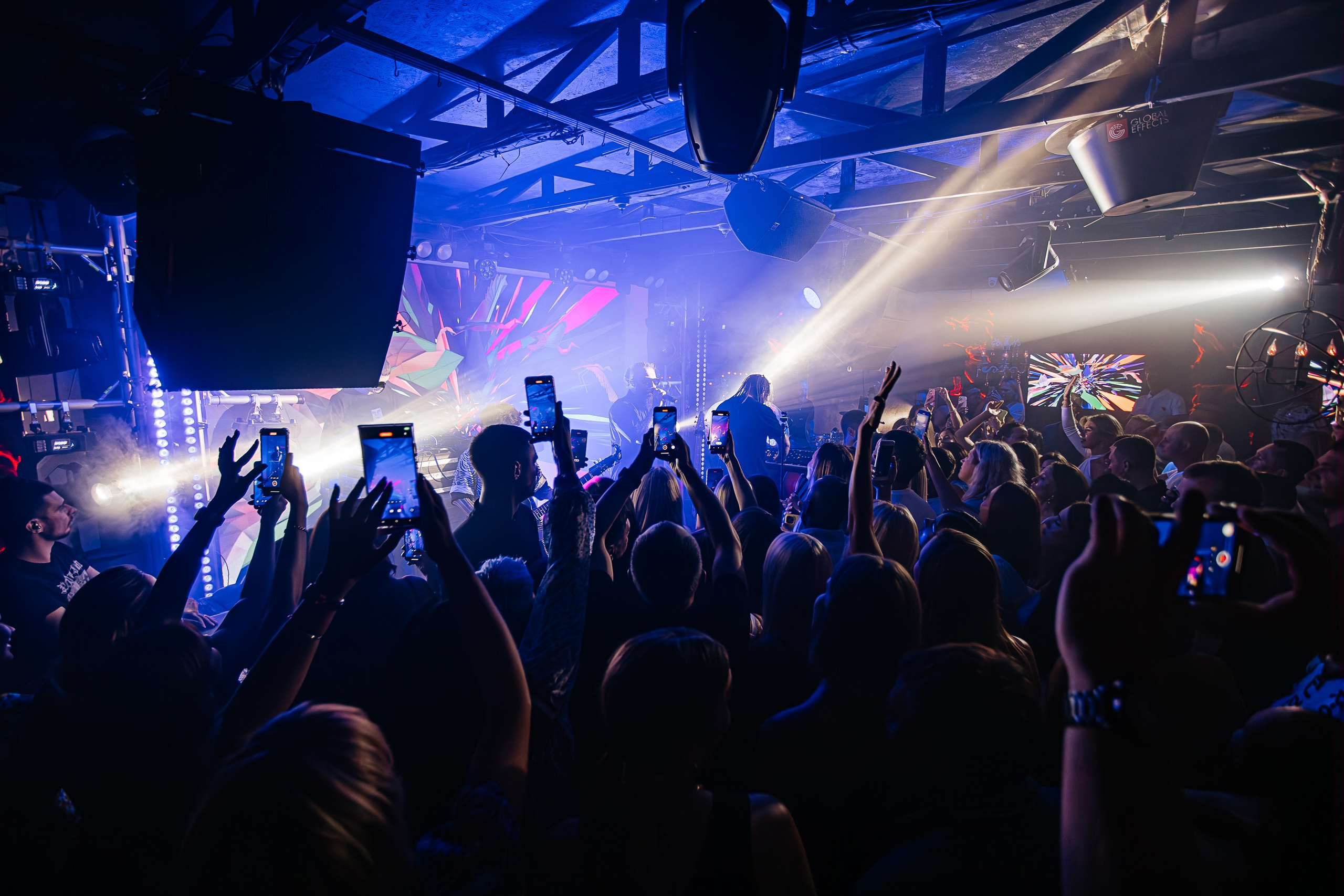 Бурито_Чайка_на_пляже_Ялта 23.08.2024. Аминов Руслан | Фотограф