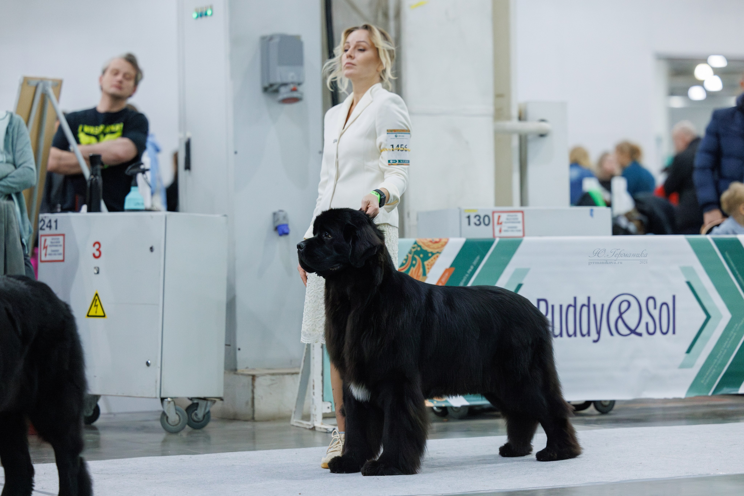 Евразия 16-17.11.2024. Фотограф-анималист Юлия Германика