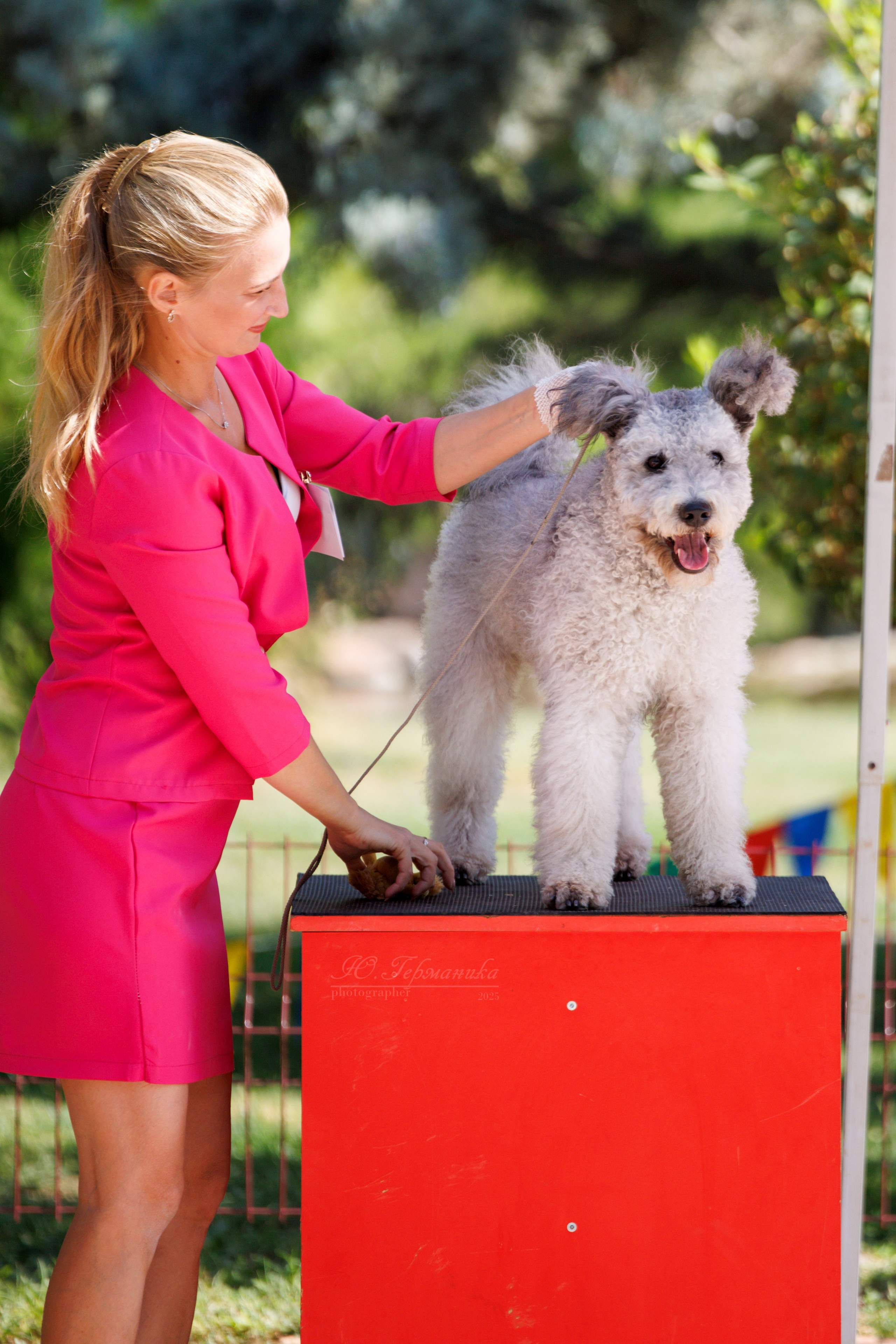 Ташкент 3хCACIB 3-5.10.2025. Фотограф-анималист Юлия Германика