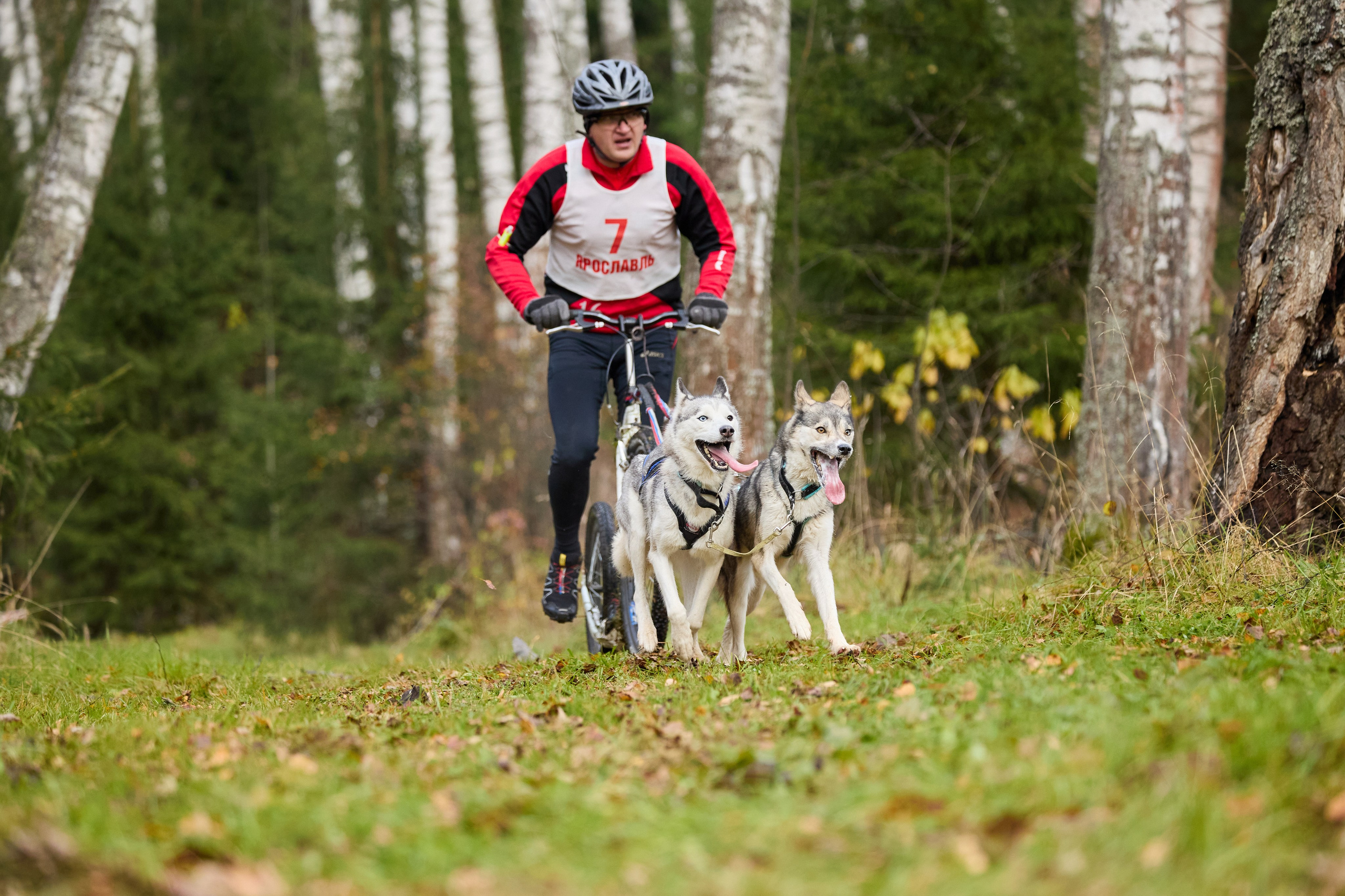 Чемпионат по ЕС Ярославской области. Фотограф Ирина Астор