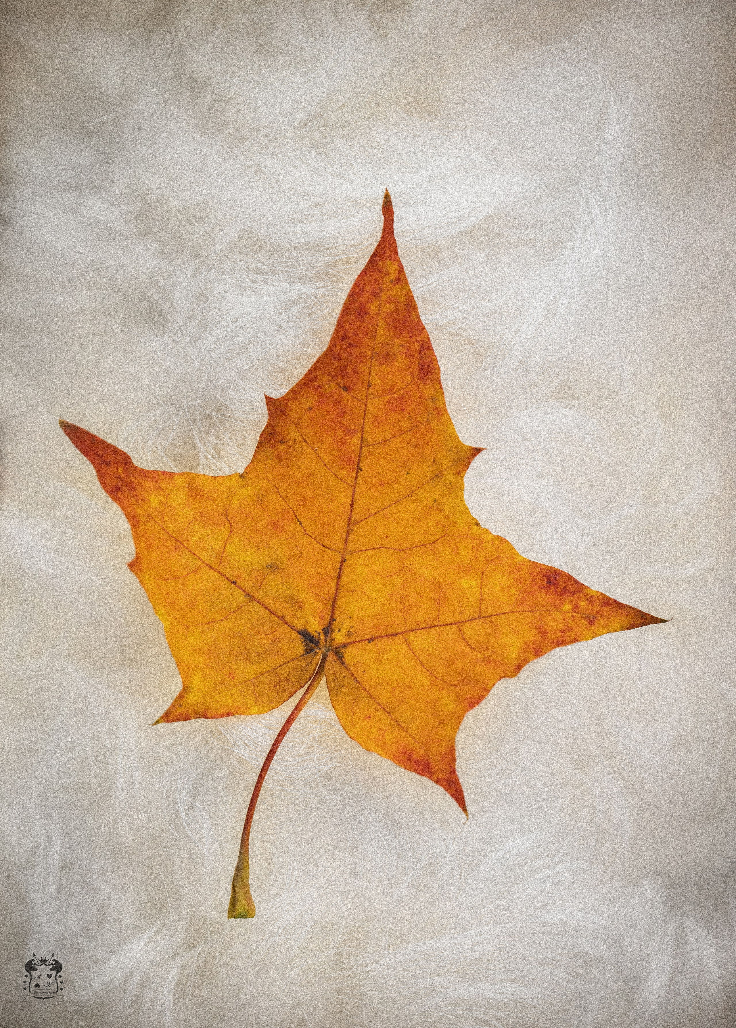 Портфолио. Фотограф-анималист в Екатеринбурге Марина Шишкина