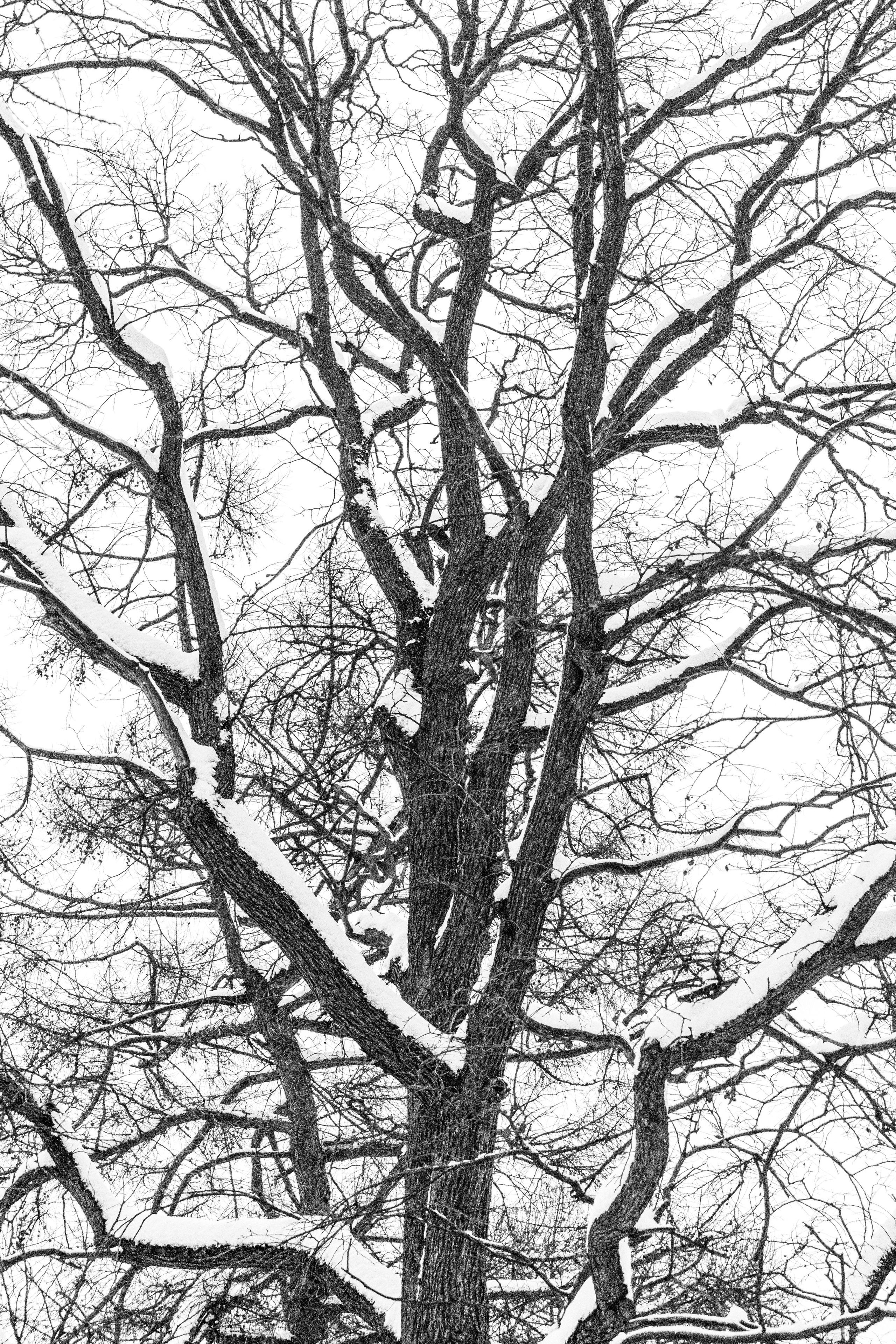 Снег в Москве. Портретный и архитектурный фотограф в Москве и Санкт-Петербурге