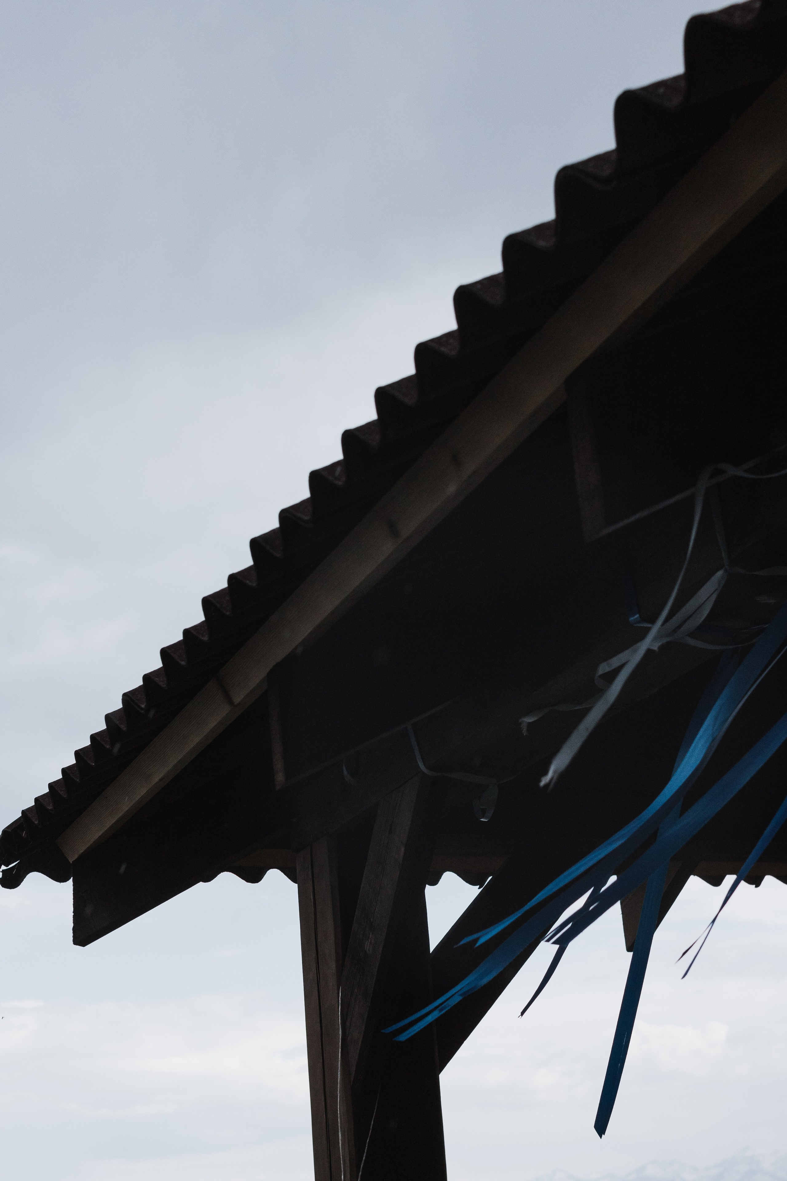 Ретрит на Байкале / Школа Ведических знаний SoVA / 7 дней, 2023. Борщевская Елизавета / фотограф Иркутск