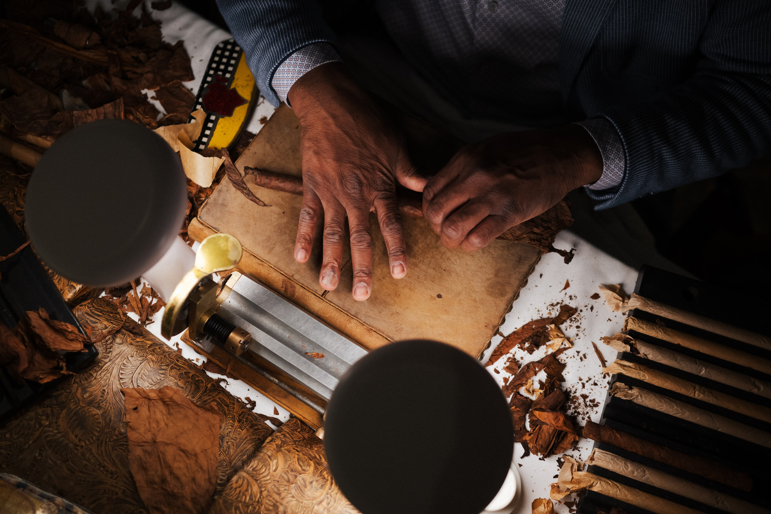 Мероприятия. Сайт фотографа Стояна Васева