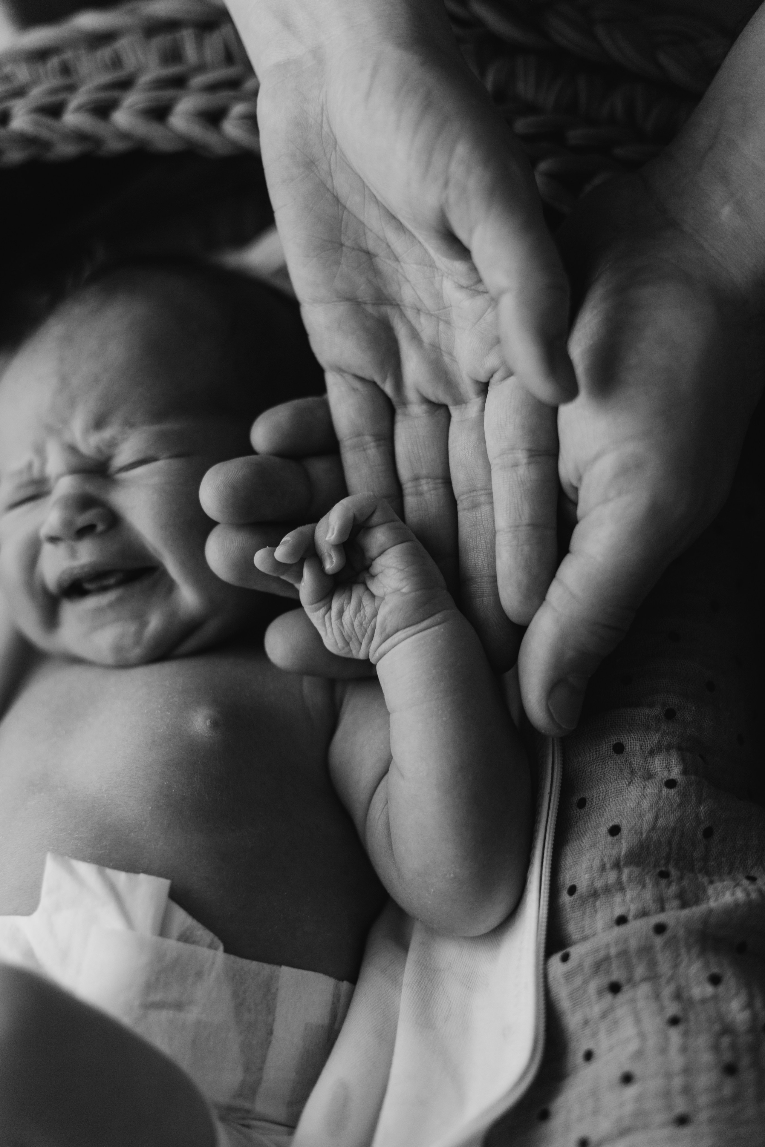 Newborn. Портретный фотограф в Москве
