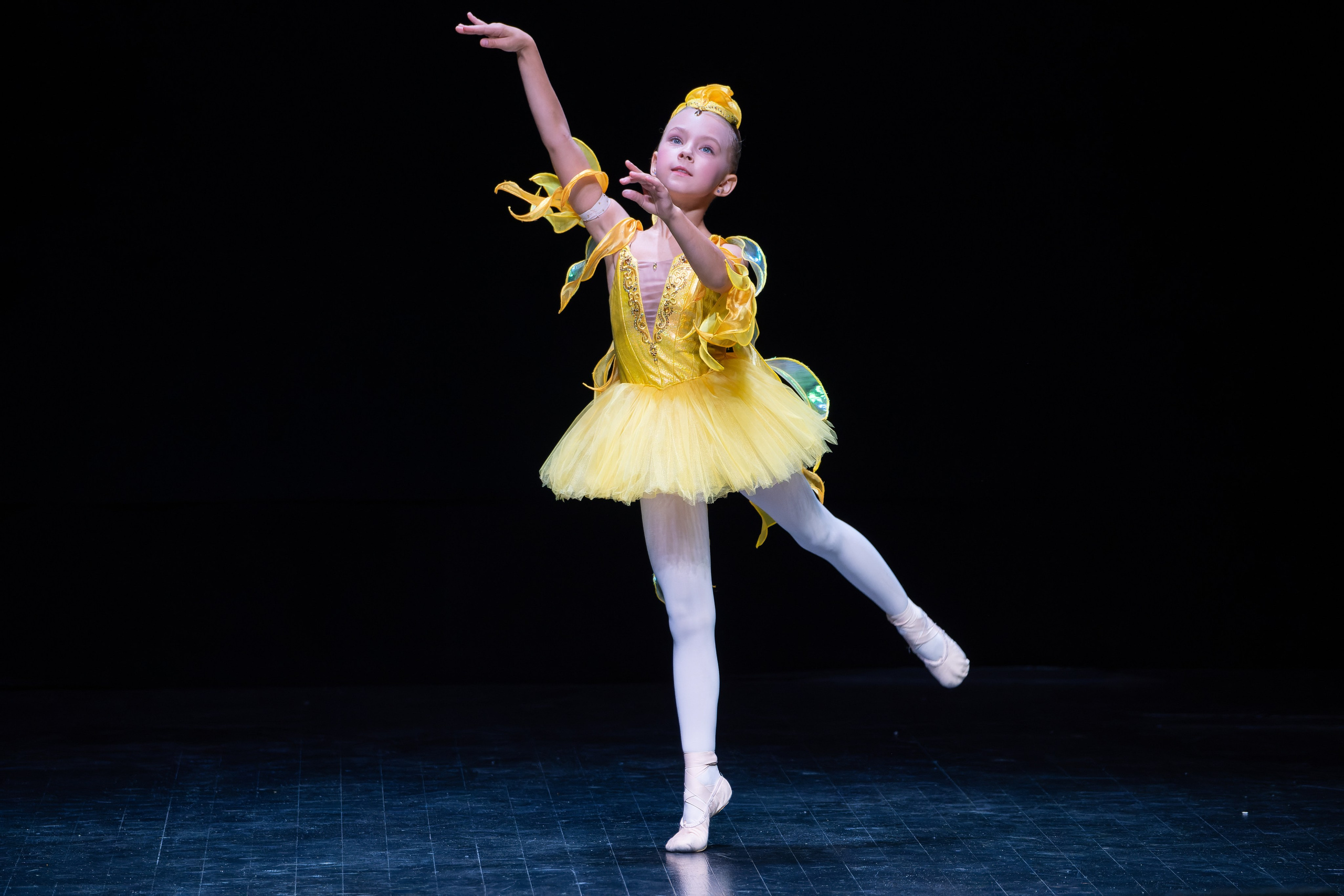 Концерты и выступления. «Студия DRONAVT`s» — видеосъёмка и фотография г. Москва