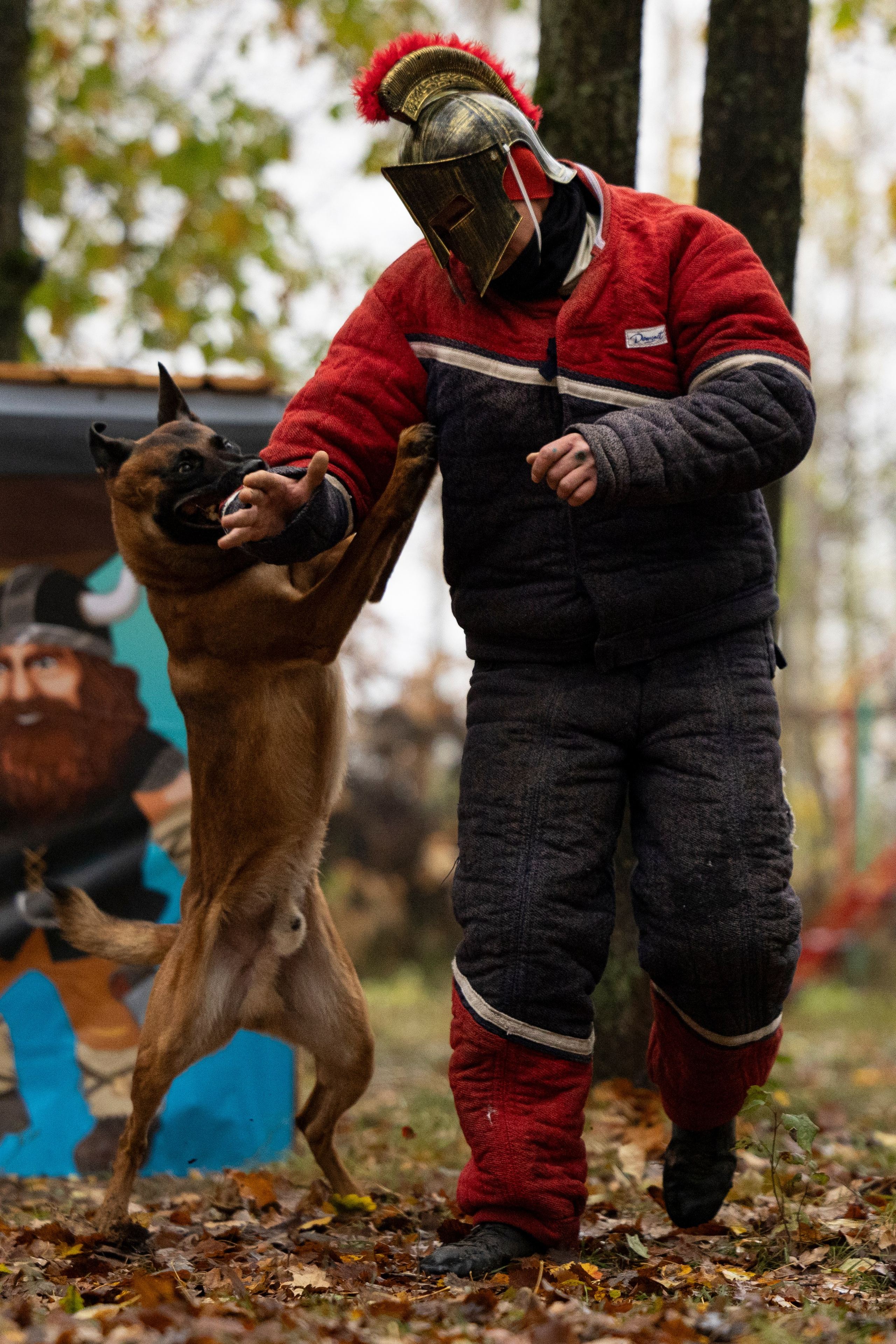 Соревнования по Мондьорингу г. Вологда. Фотограф-анималист Анна Маринич