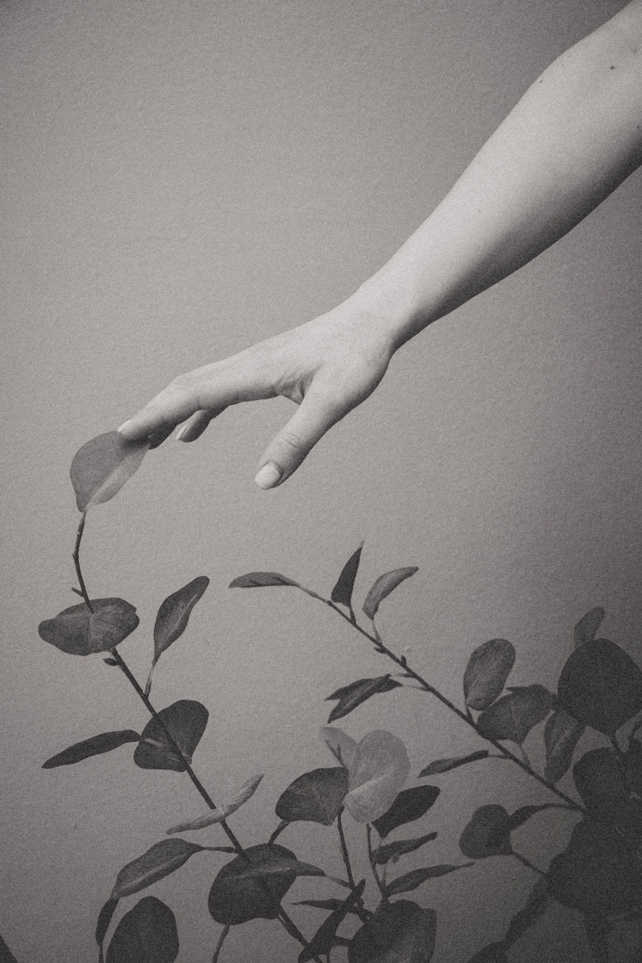 Дарья. Фотохудожник Татьяна Бойцова