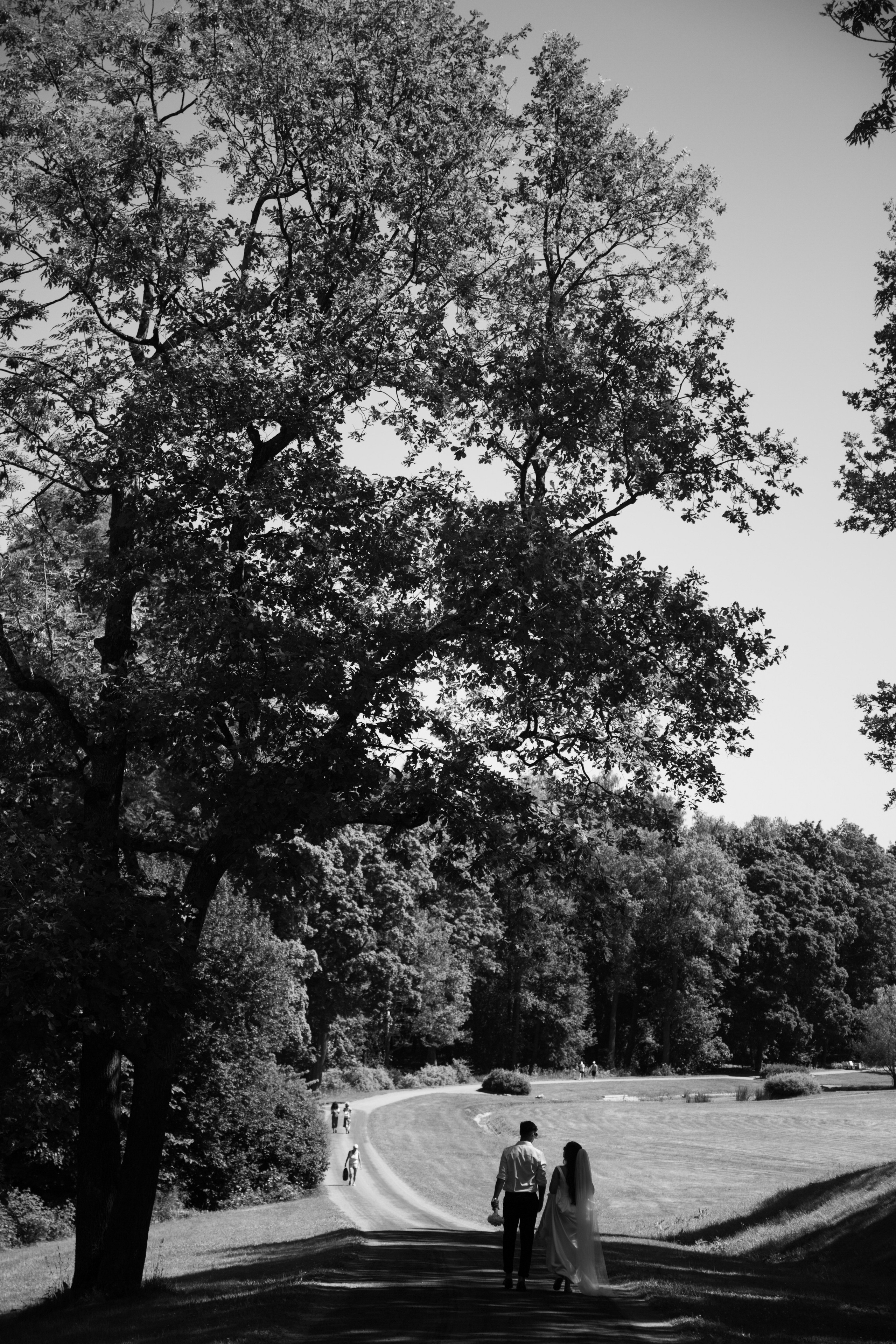 Александр и Алёна. Свадебный и портретный фотограф