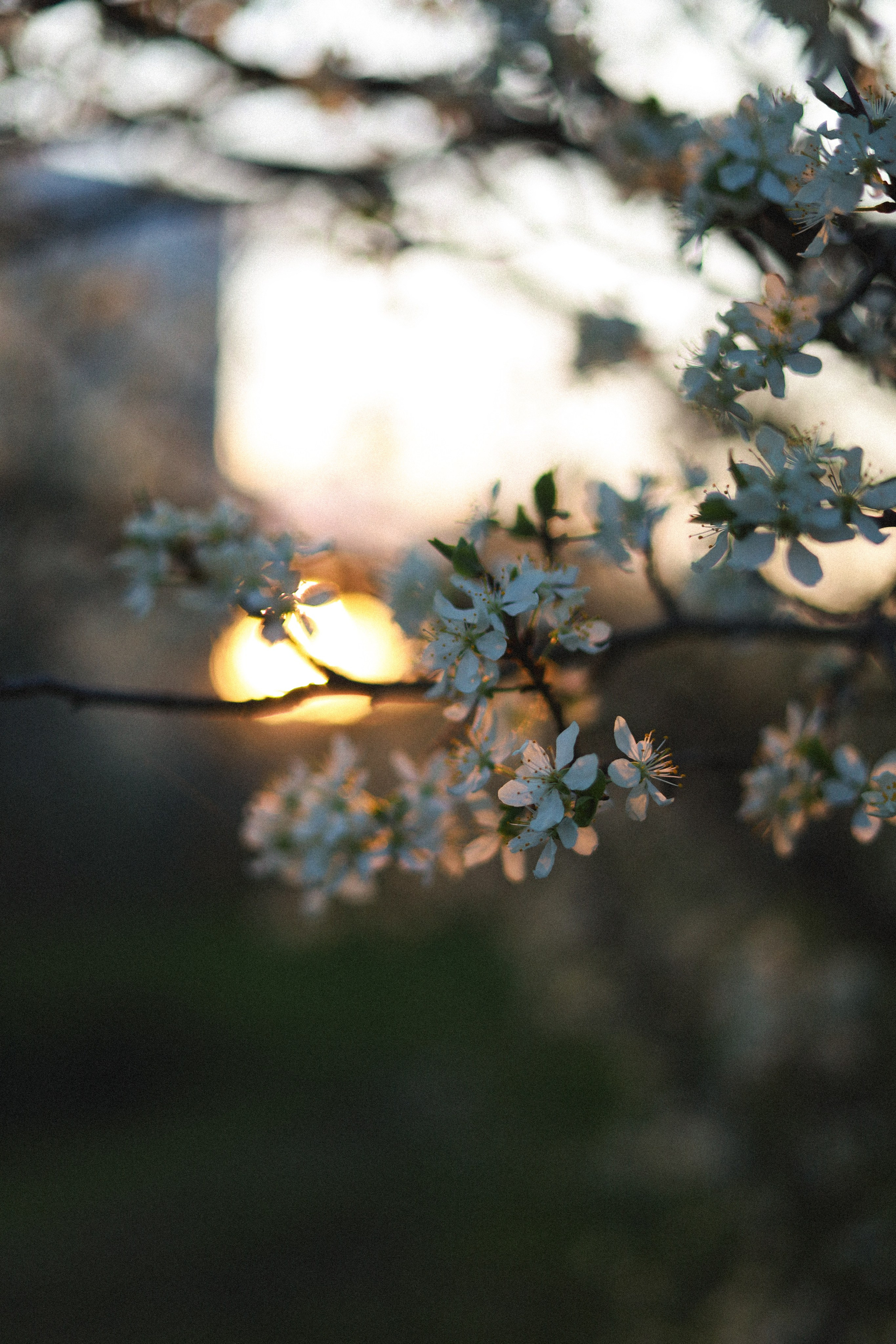 Все, что вокруг меня. Фотограф Евгения Ошкина, Саранск