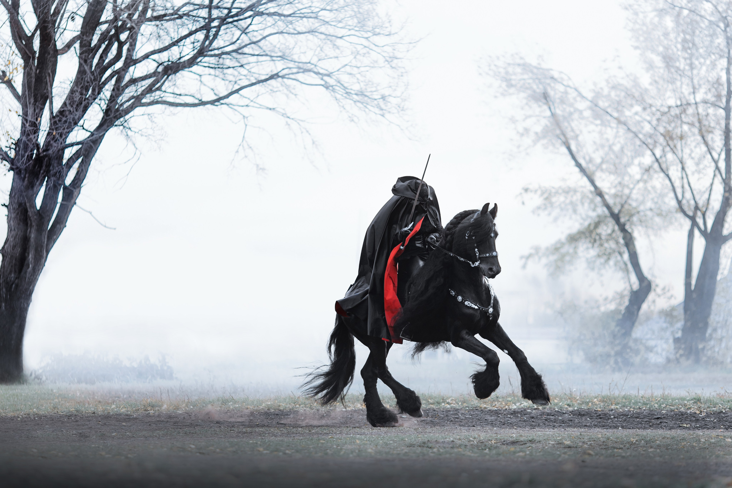 Фотосессии с лошадьми. Главная