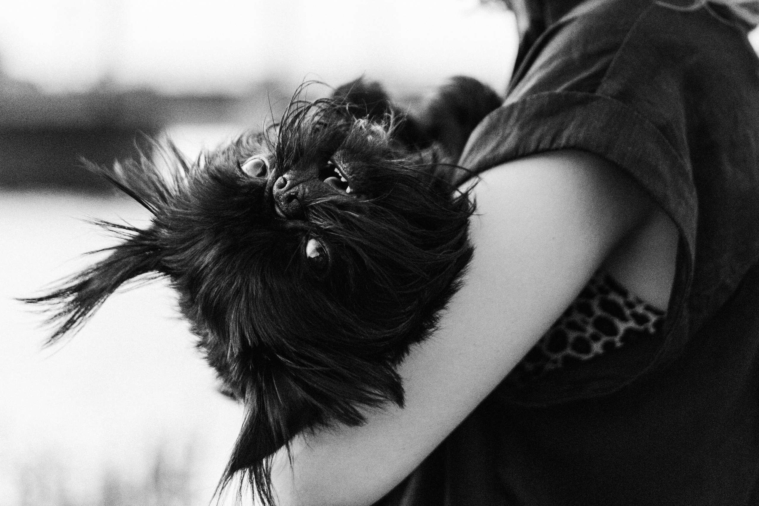 Ася и Кузя. Фотограф анималист Осипчикова Мария