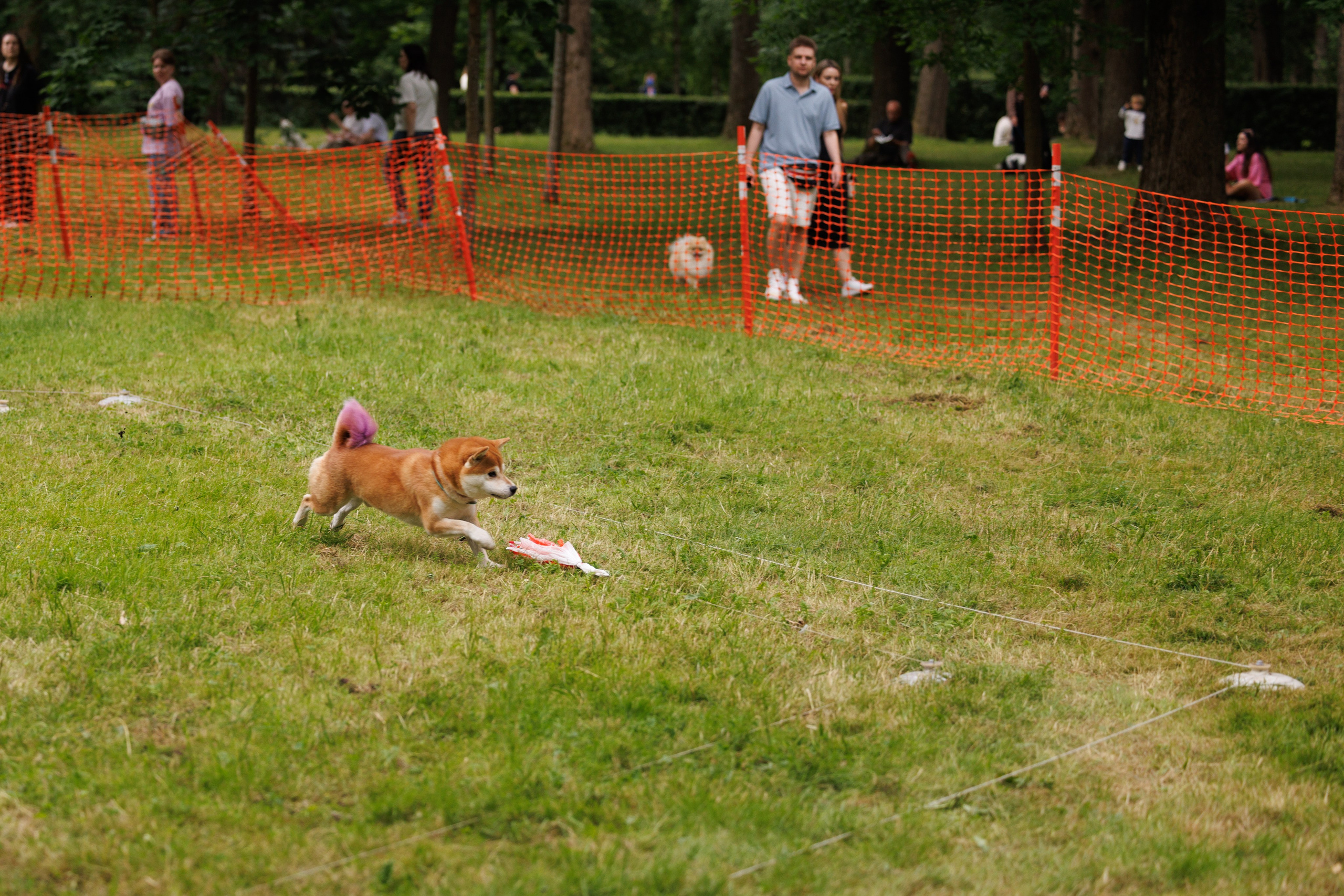 PetShopDays2026. Фотограф Александр Заломаев