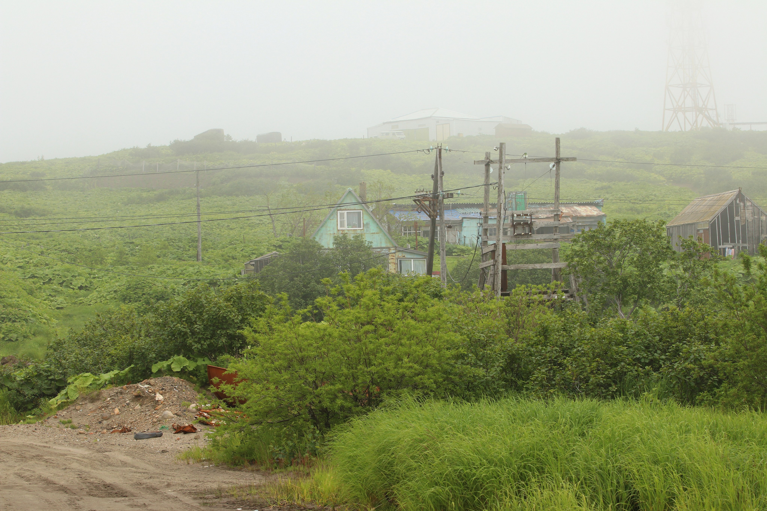 Камчатка и о. Парамушир. Июль 2024. Путешественник-фотограф из Санкт-Петербурга Татьяна Свистулина