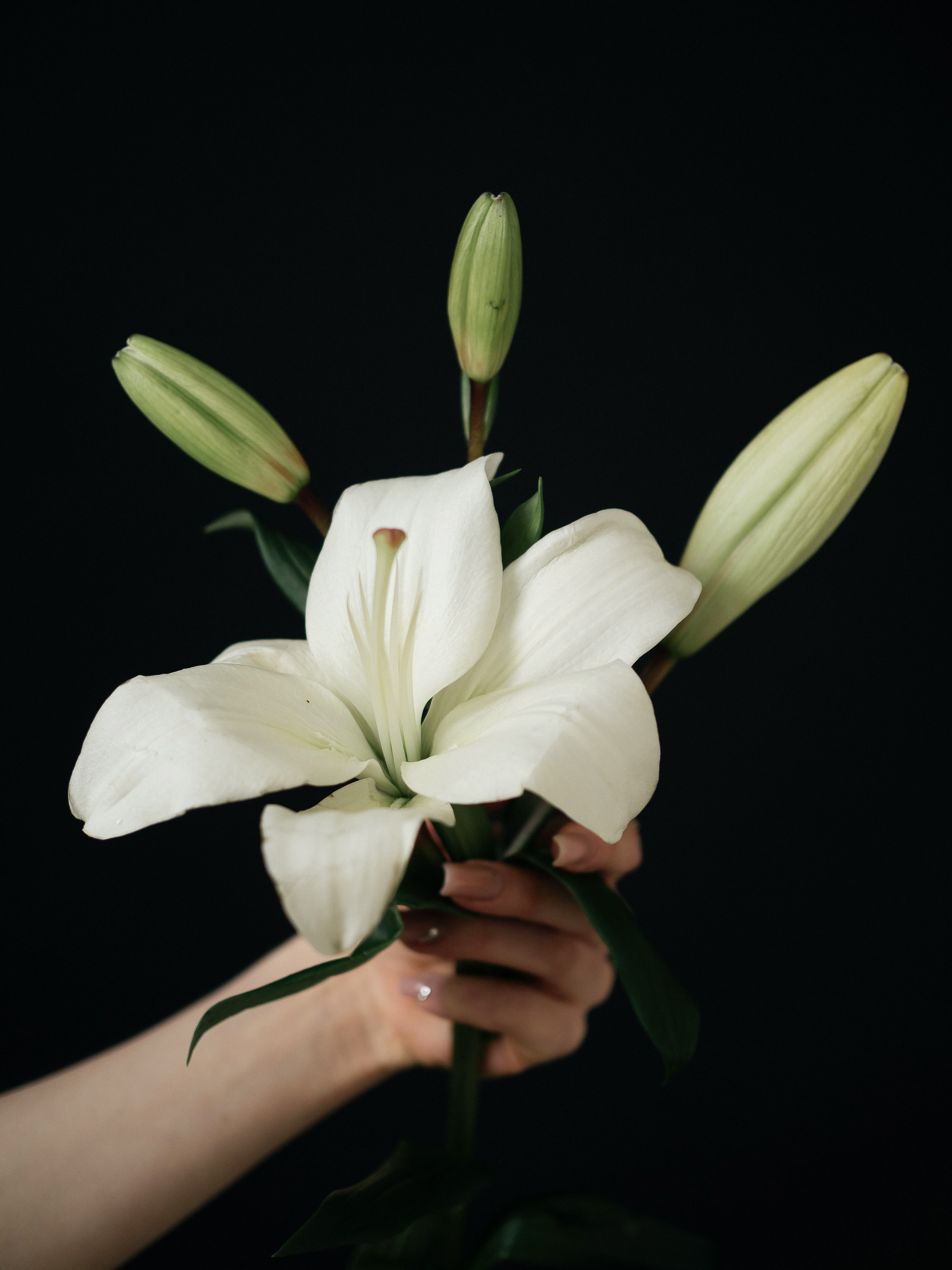 Милена. Ekaterina_ufimtseva_