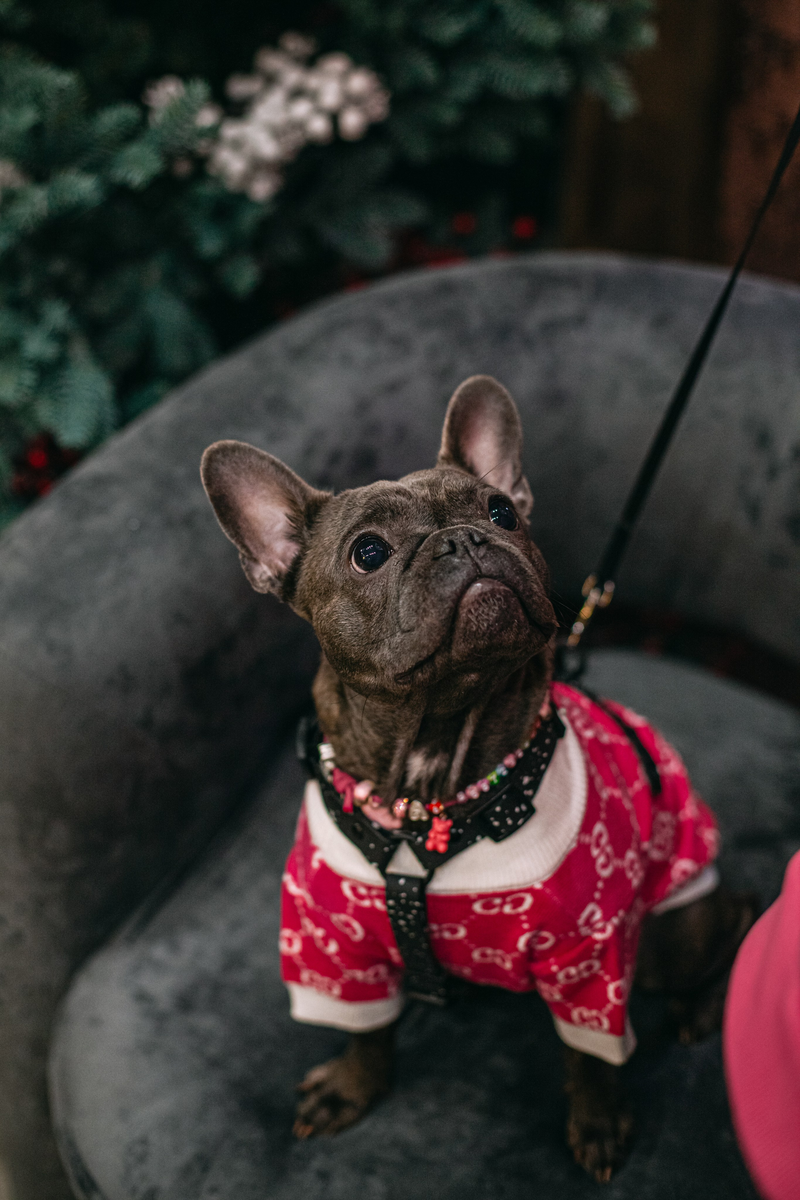 Бульёлка 2024. Фотограф-анималист Татьяна Степанова