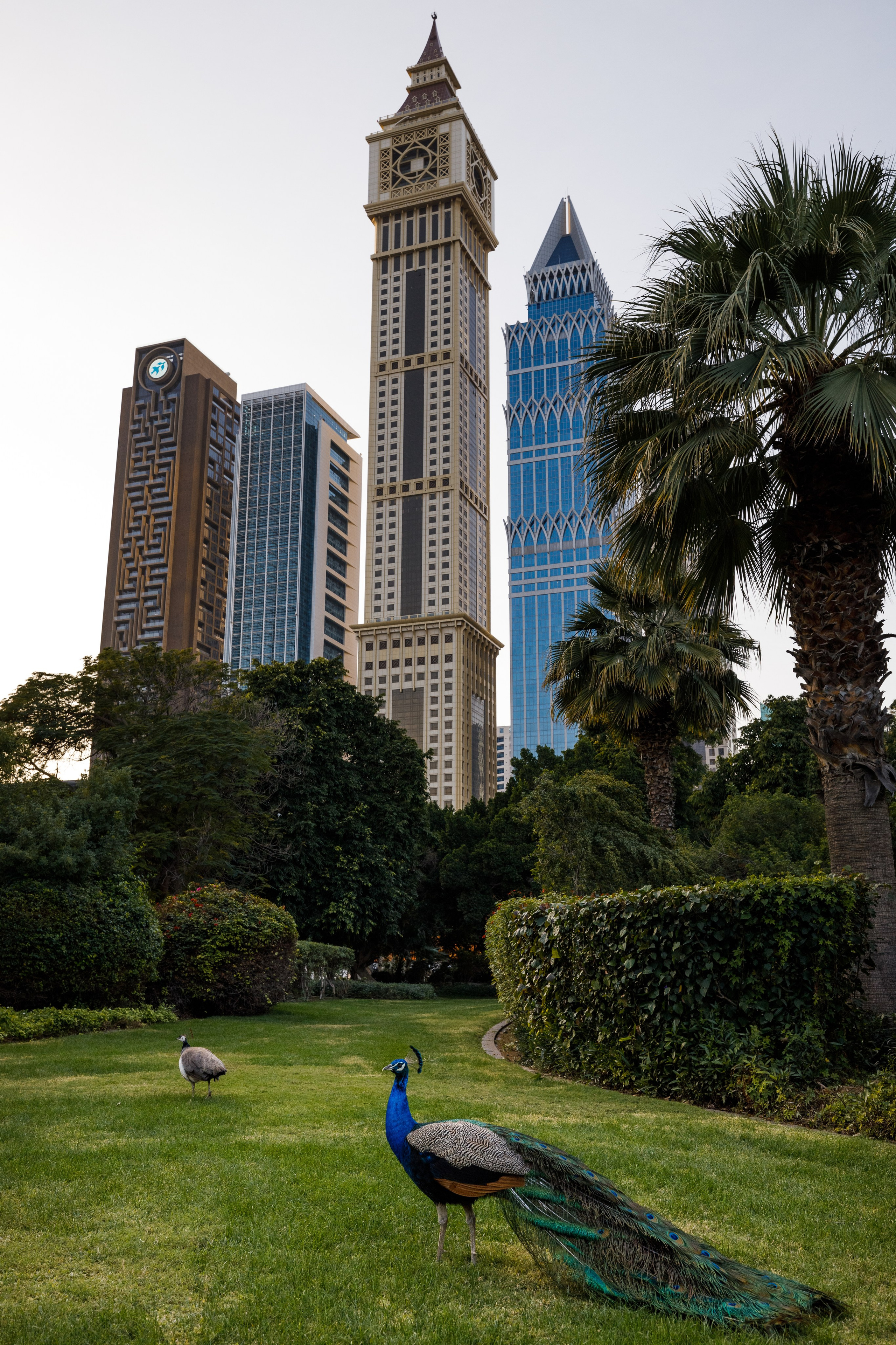 Дубай 2023. Руслан Плахтеев