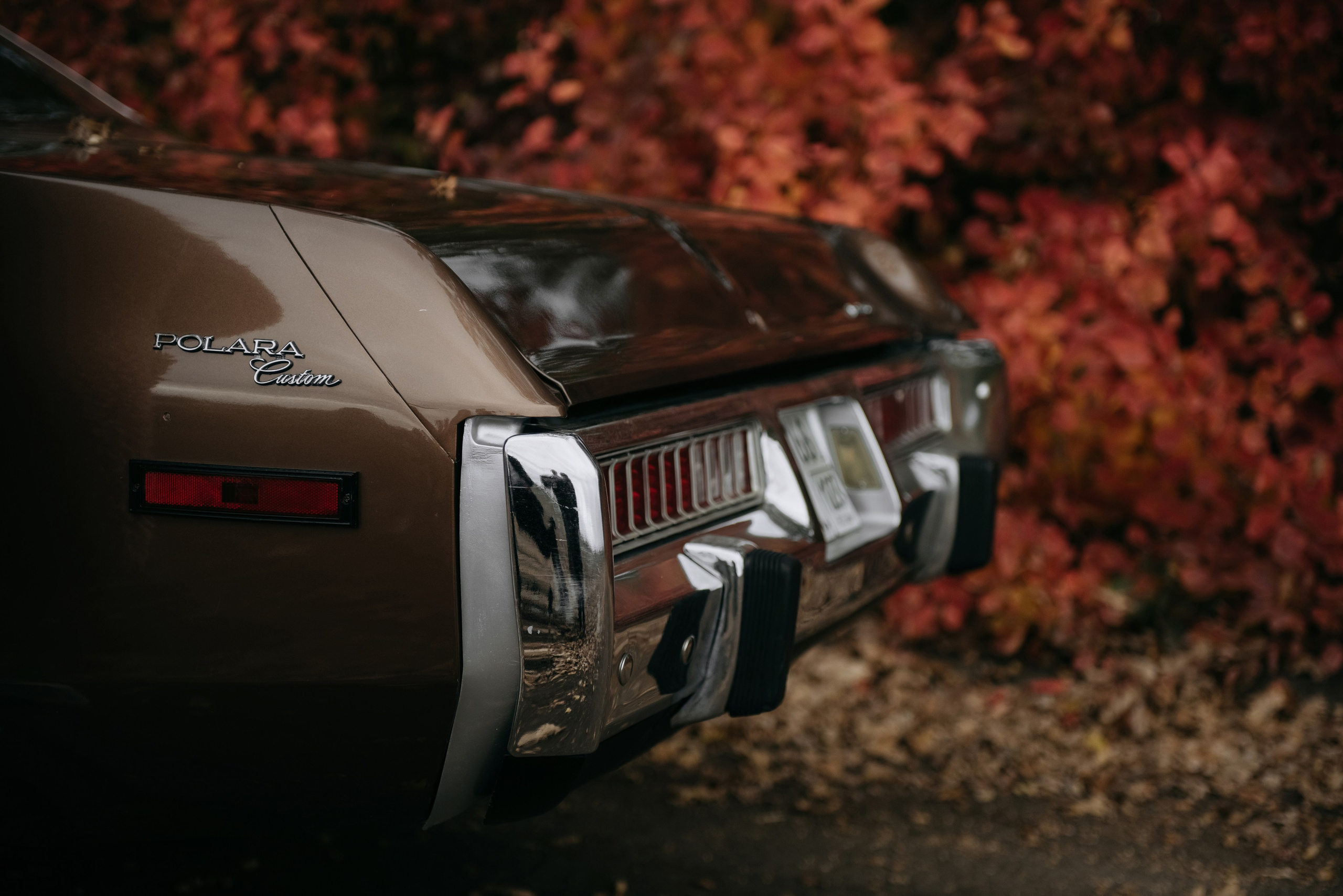 В каждом мгновении осень. Свадебный и семейный фотограф Темрюк Алёна Ковальская