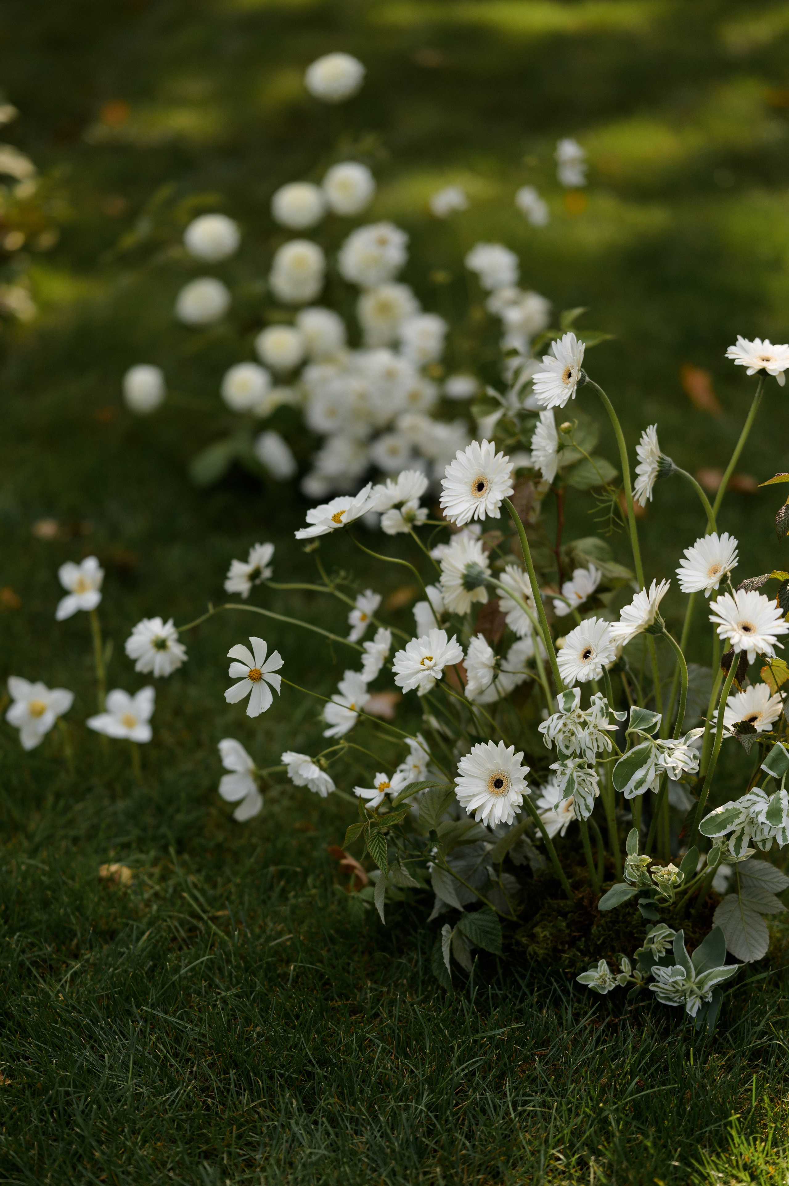 Вова и Поля 11.09.23. VENSKAYA WEDDING & EVENT PLANNER